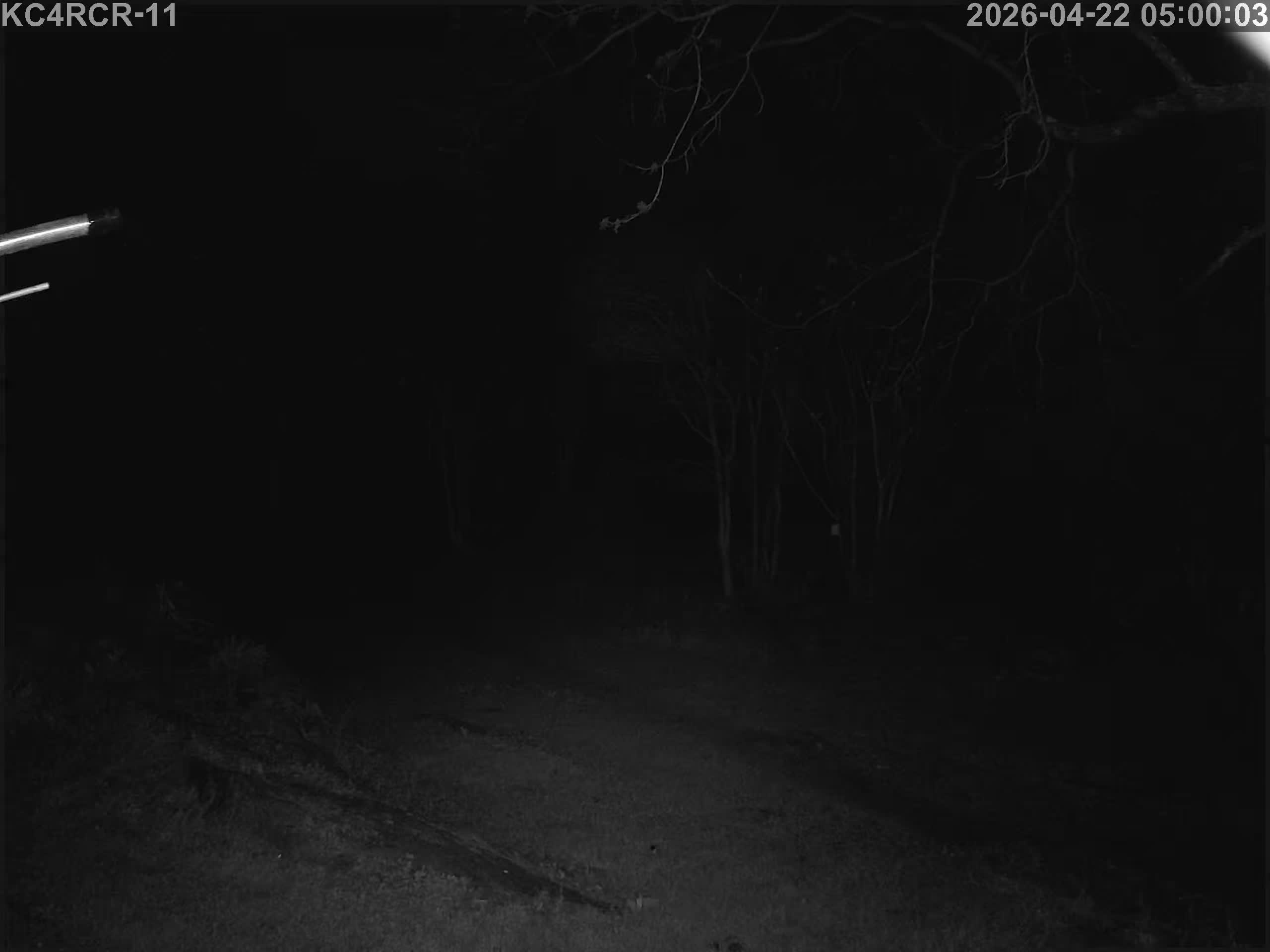Outside camera view
