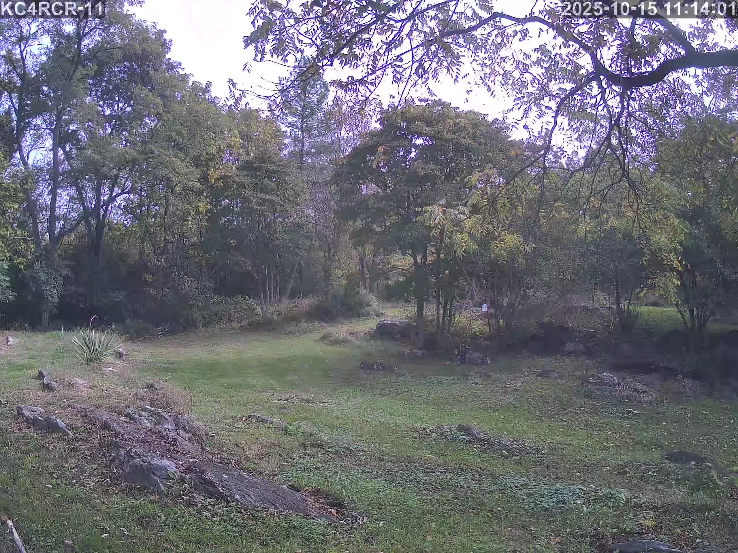 Outside camera view