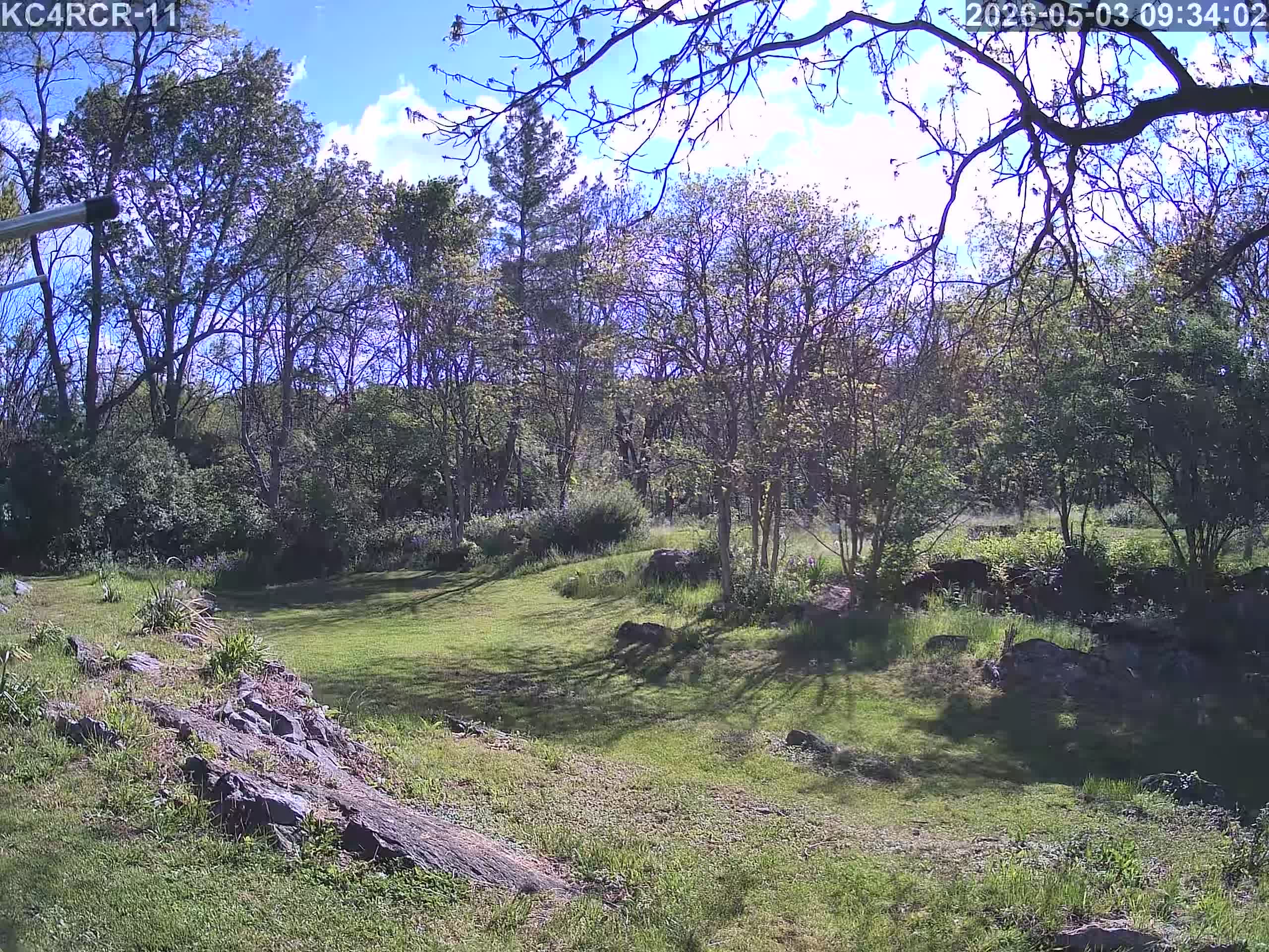 Outside camera view
