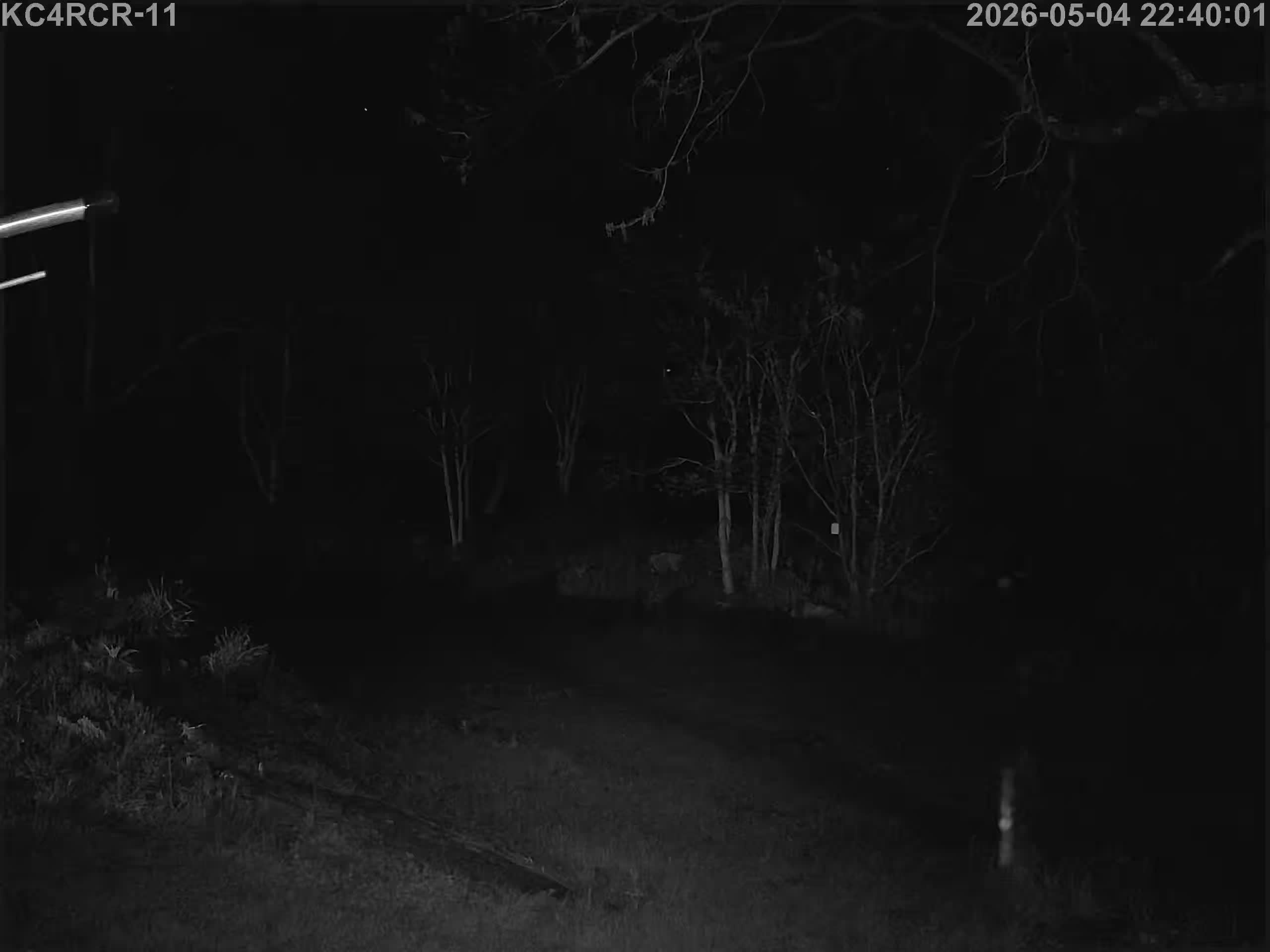 Outside camera view
