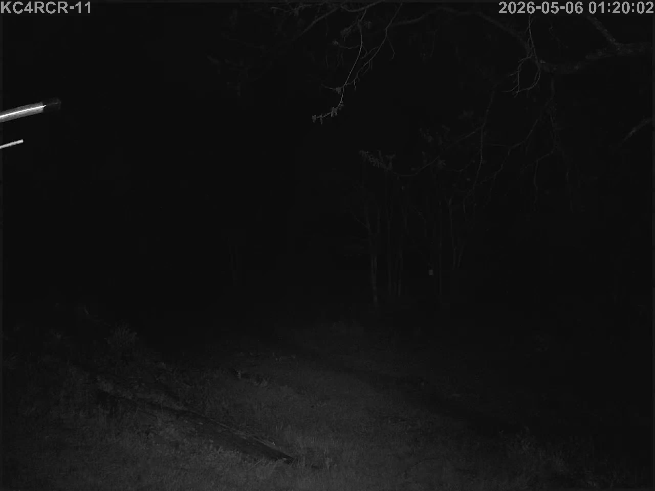 Outside camera view