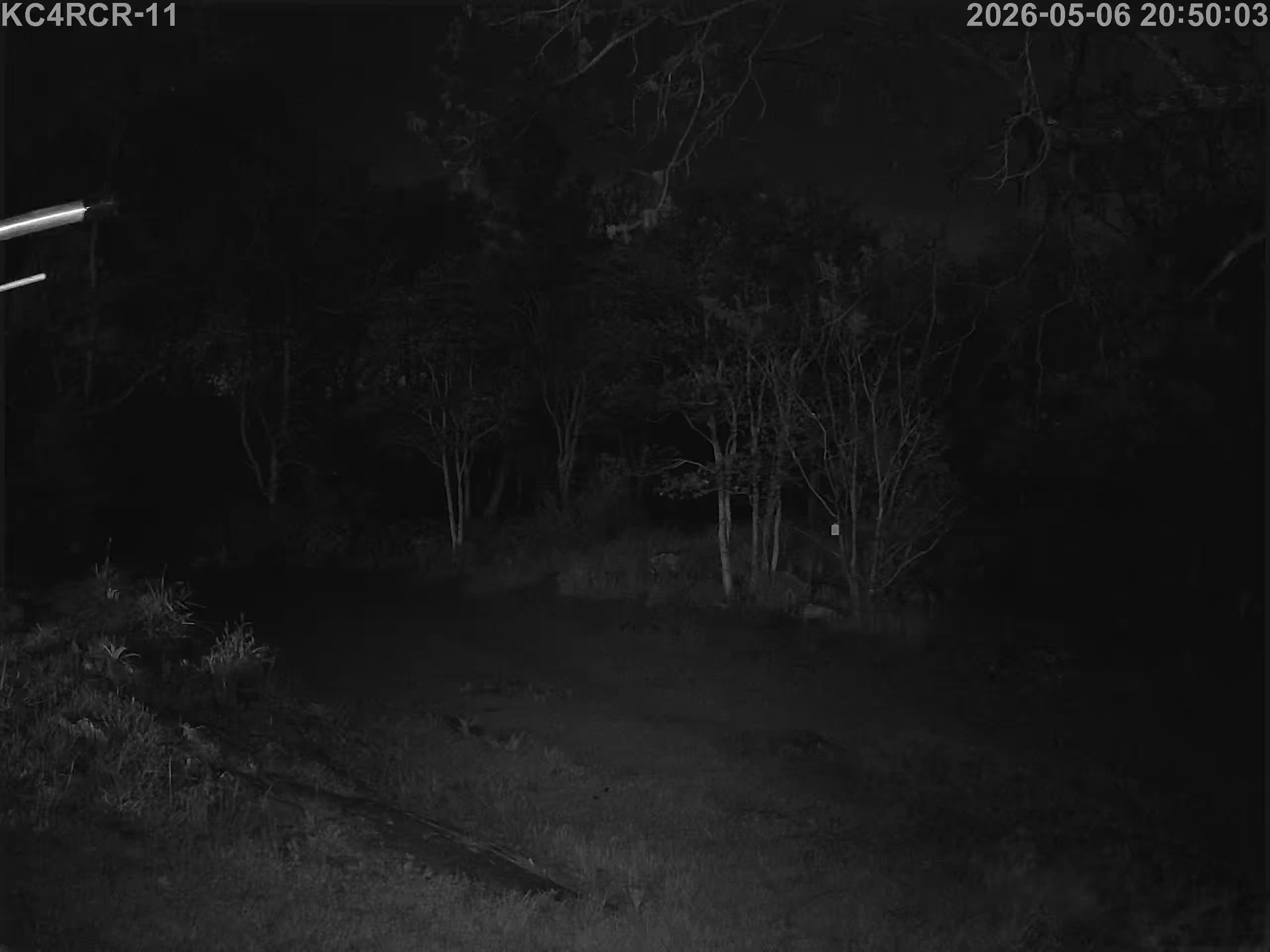 Outside camera view