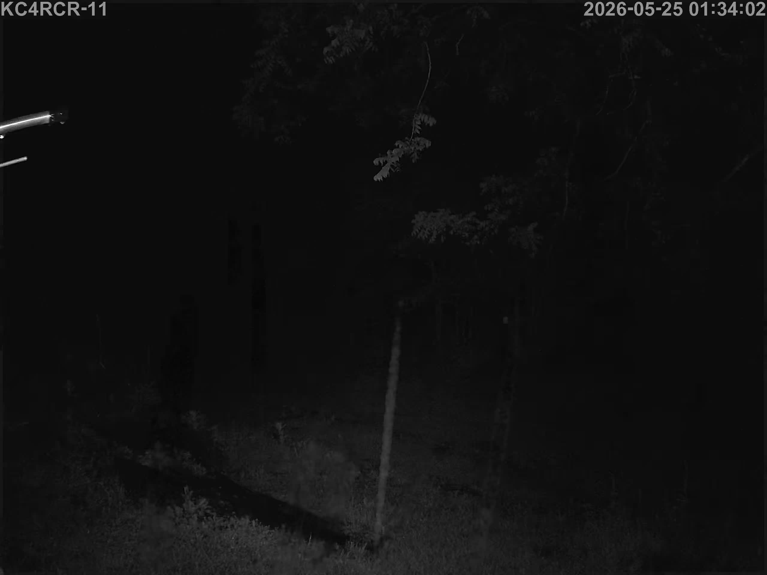 Outside camera view