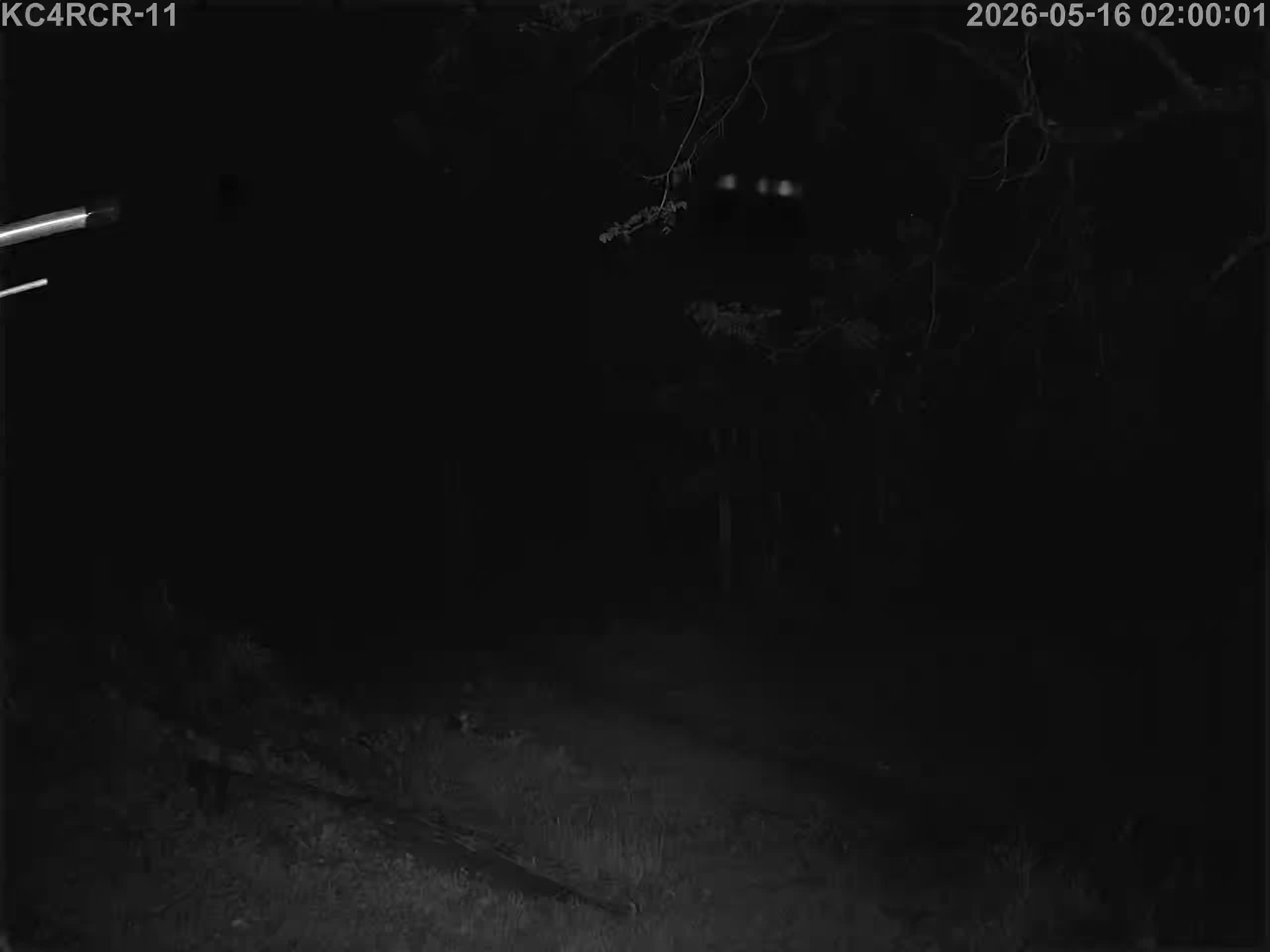 Outside camera view