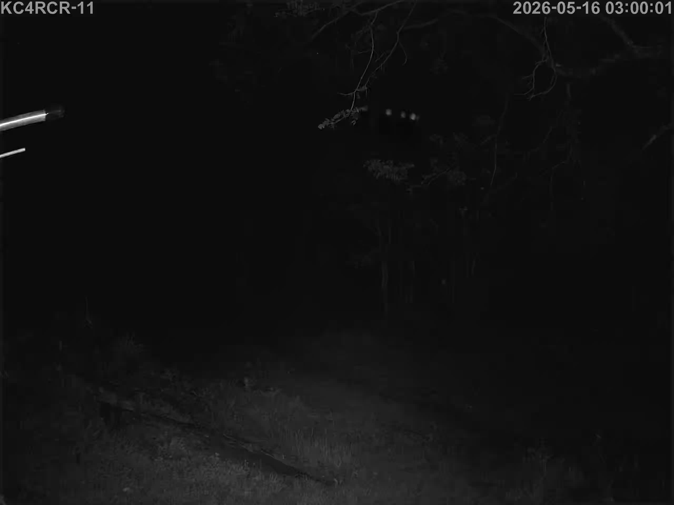 Outside camera view