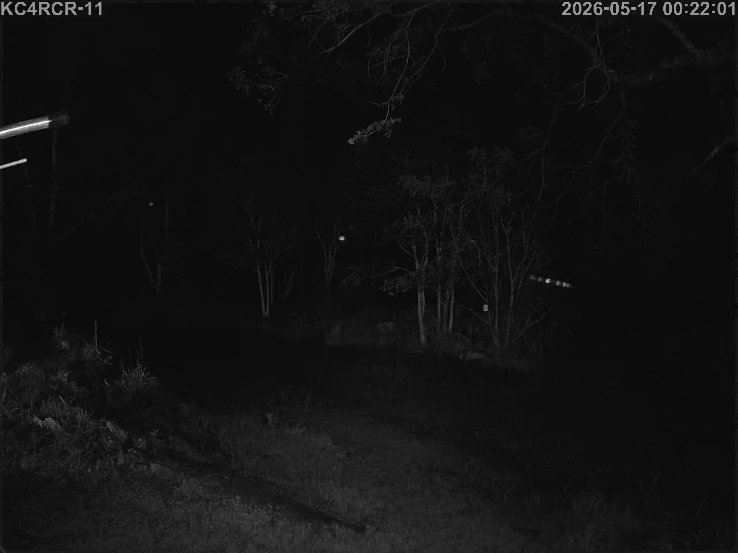 Outside camera view