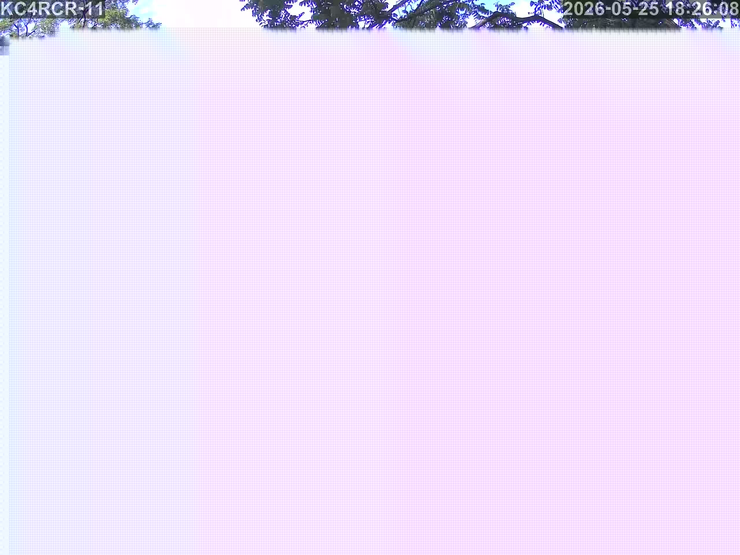 Outside camera view