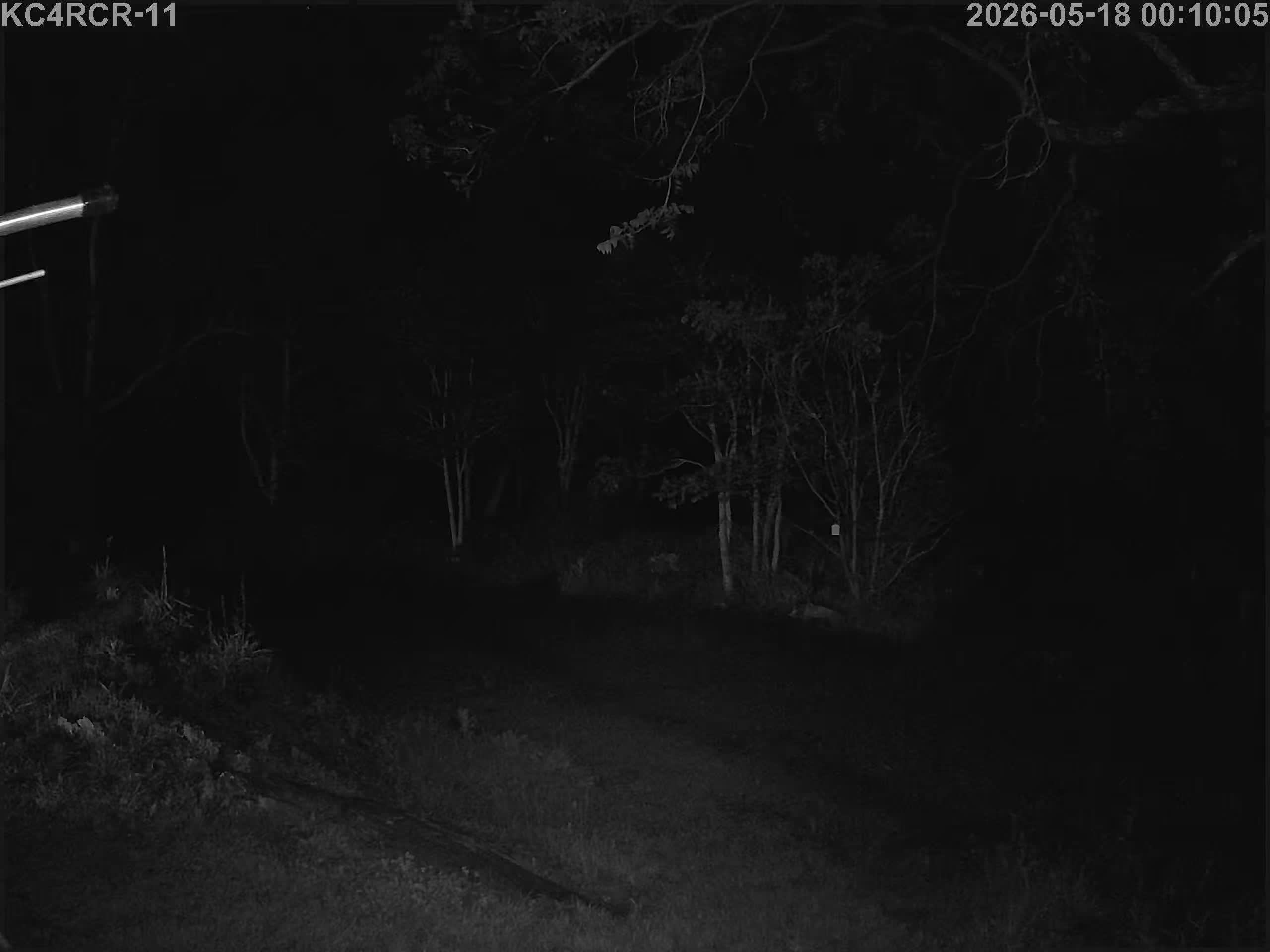 Outside camera view