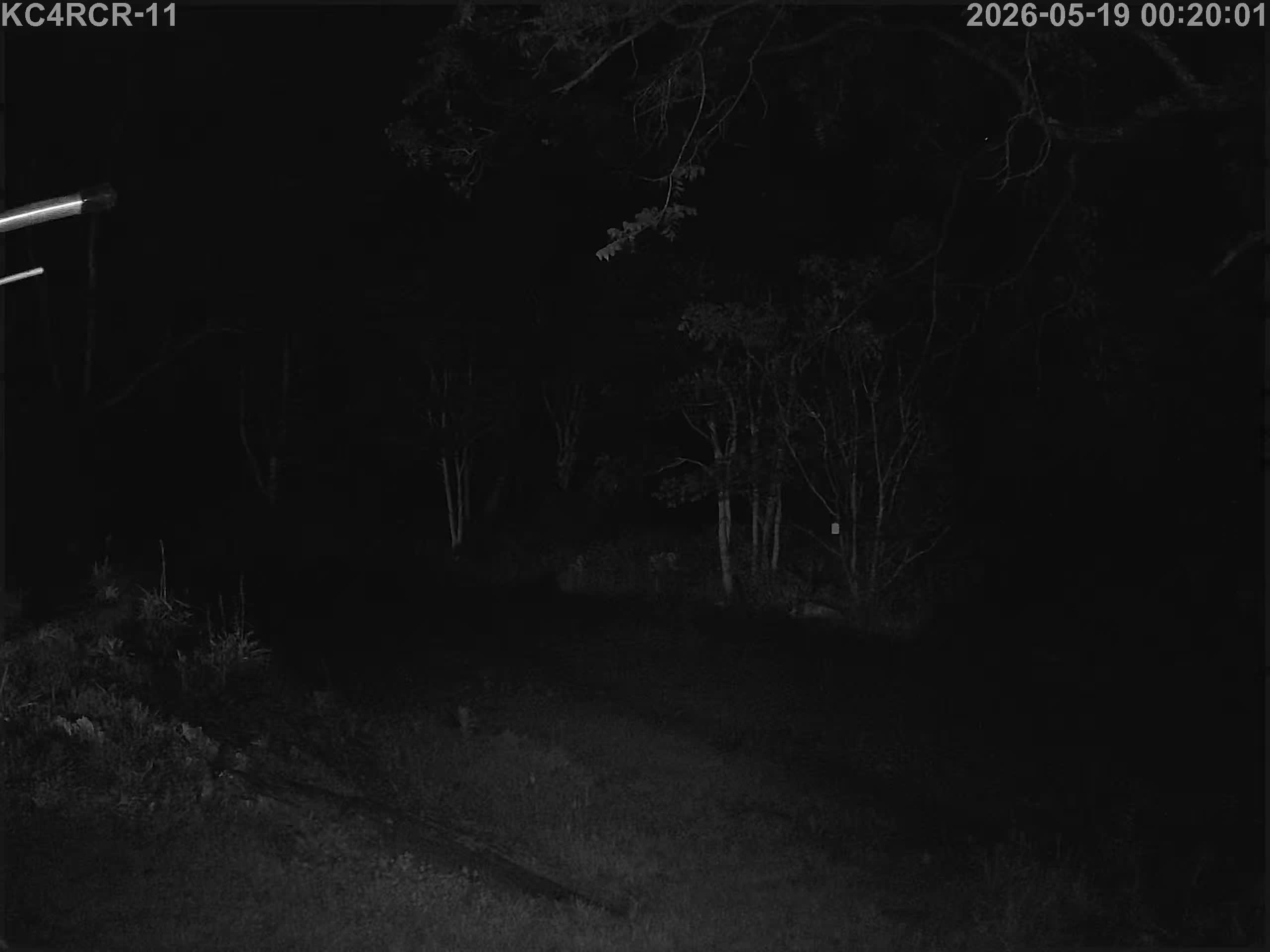 Outside camera view