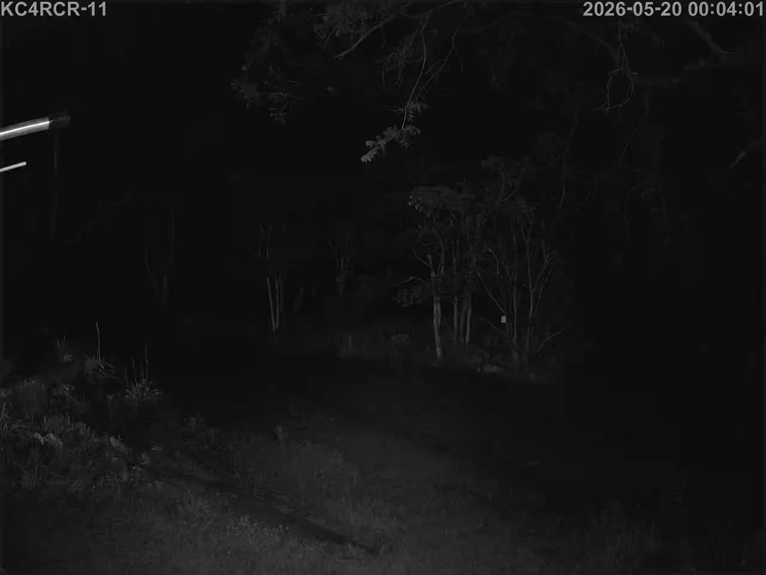 Outside camera view
