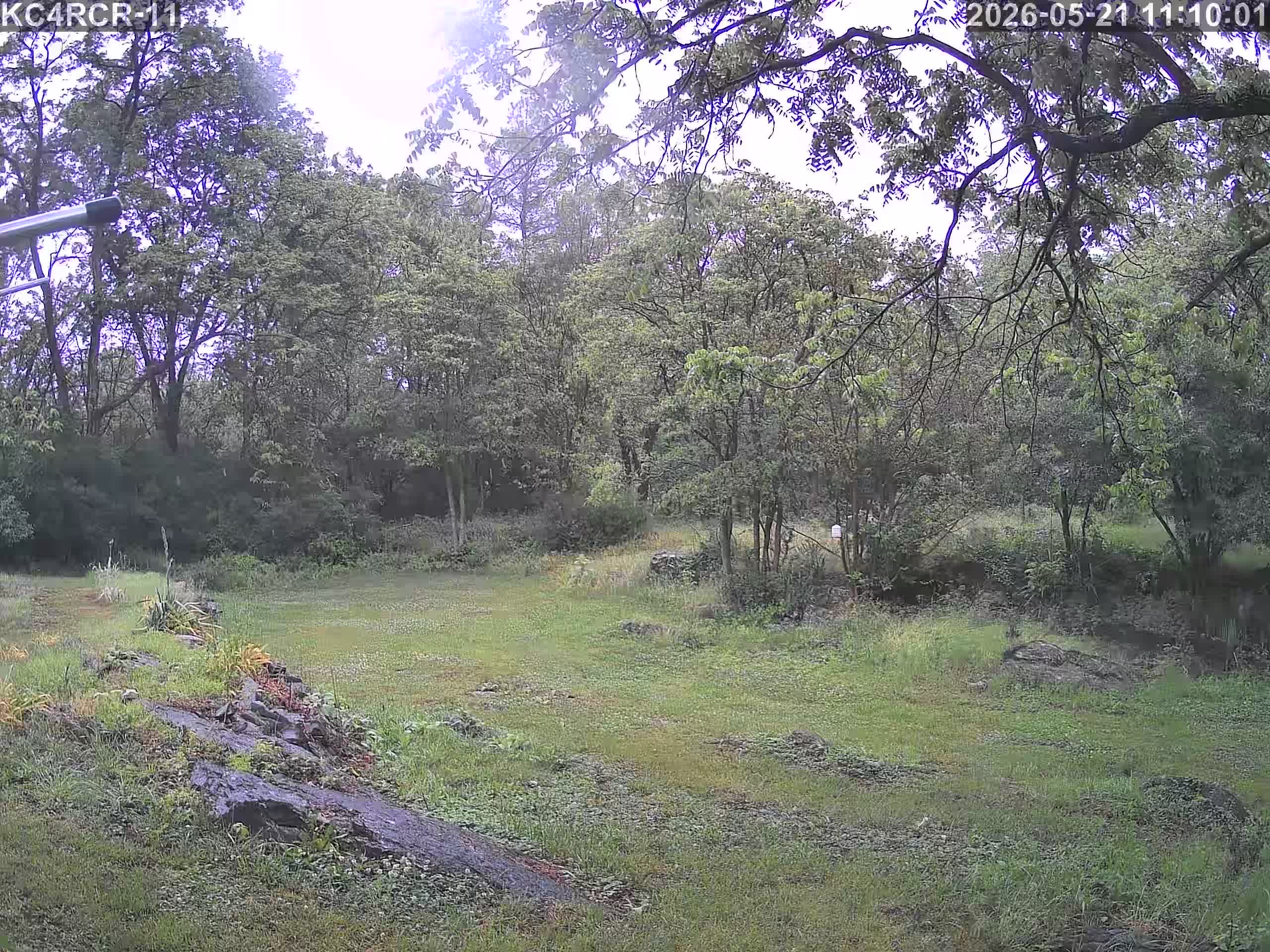 Outside camera view