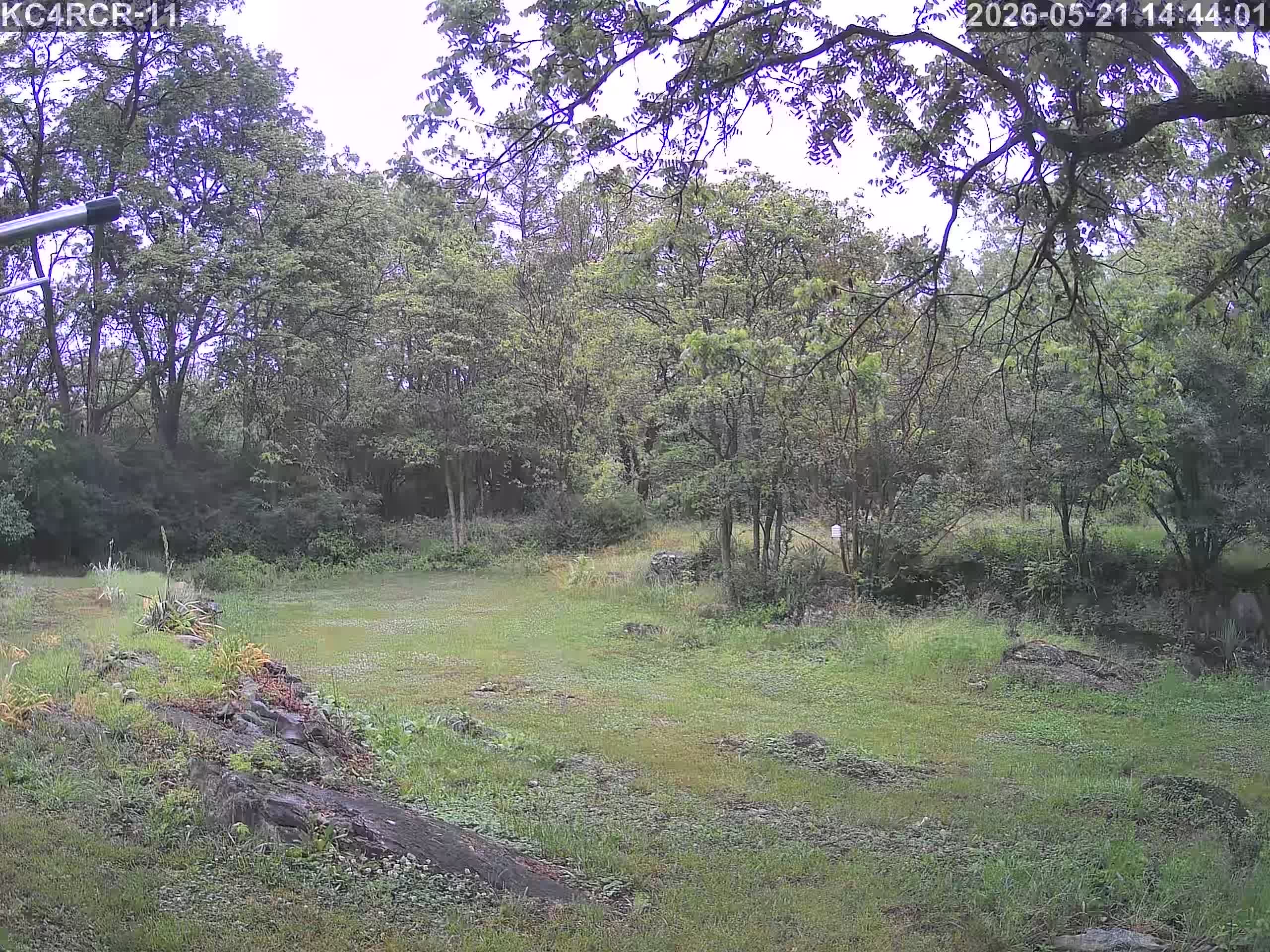 Outside camera view