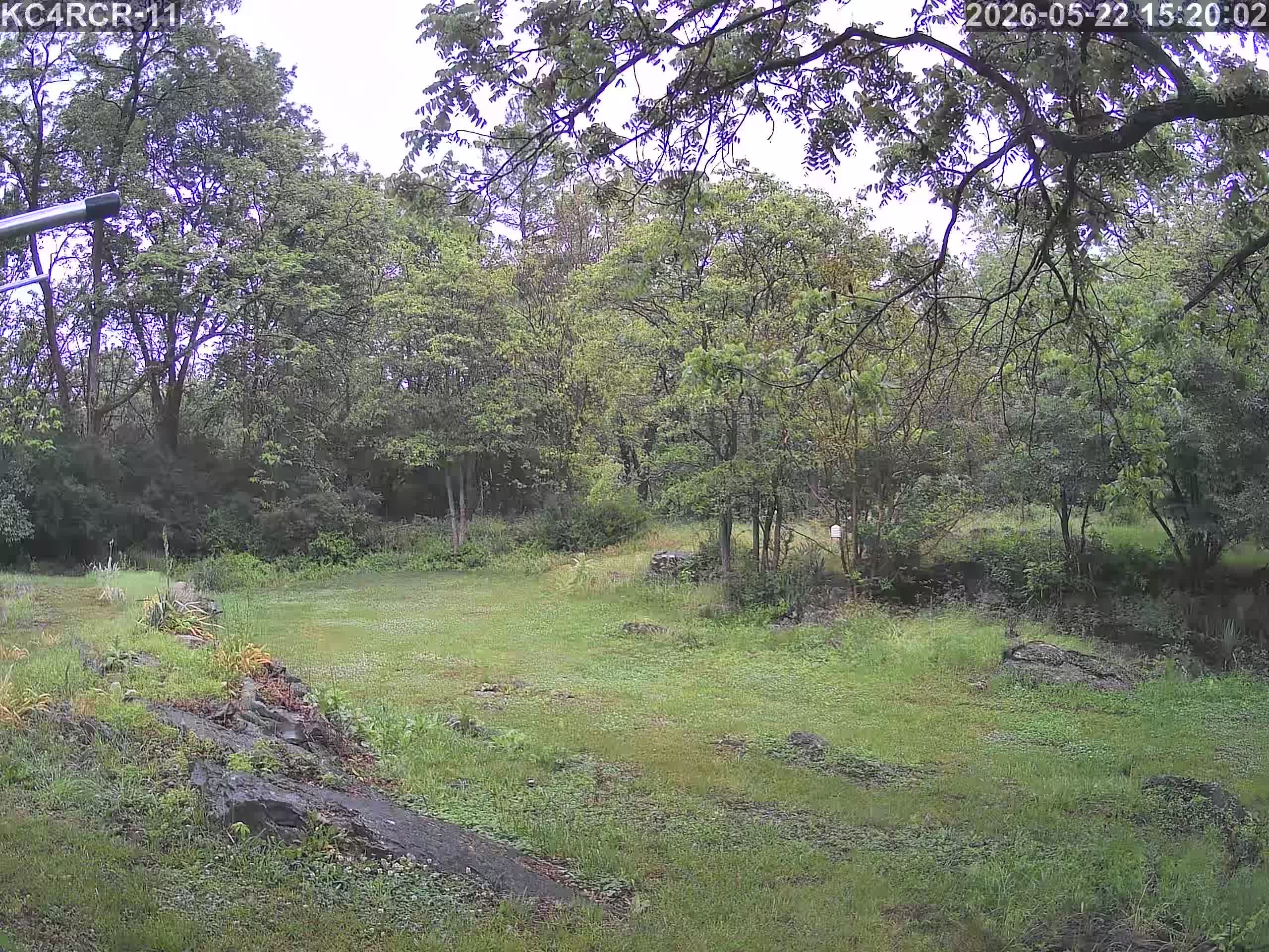 Outside camera view