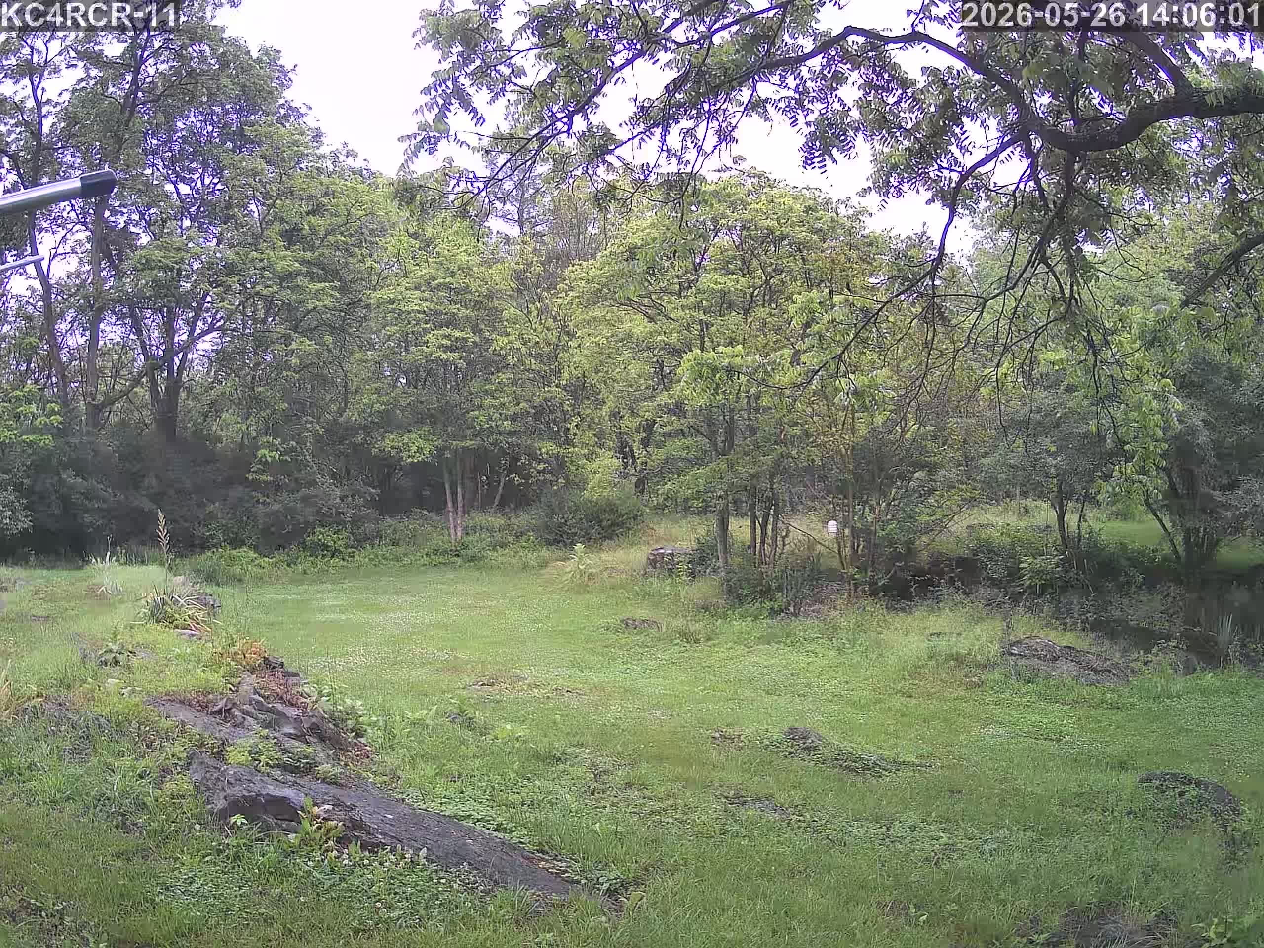 Outside camera view