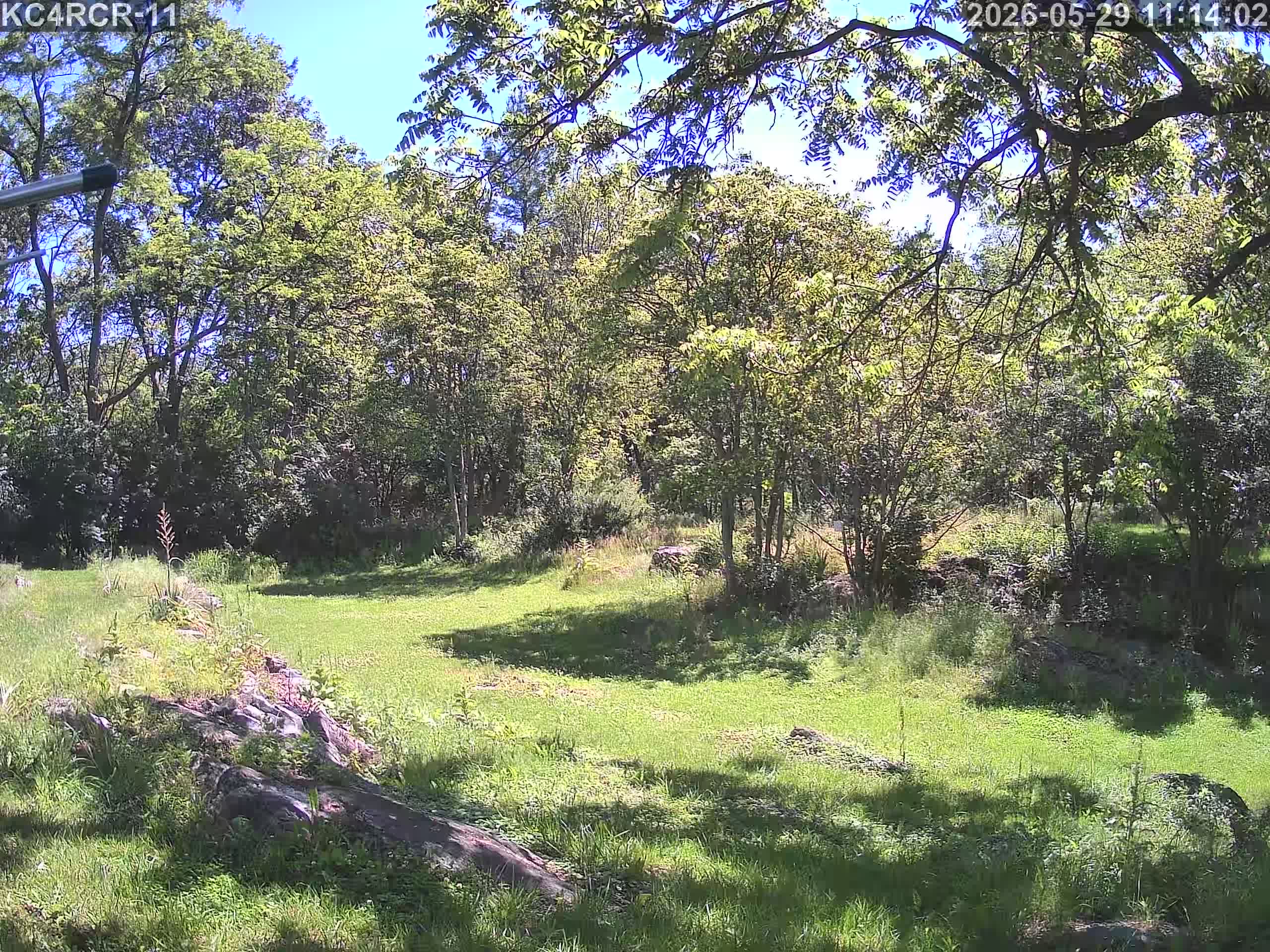 Outside camera view
