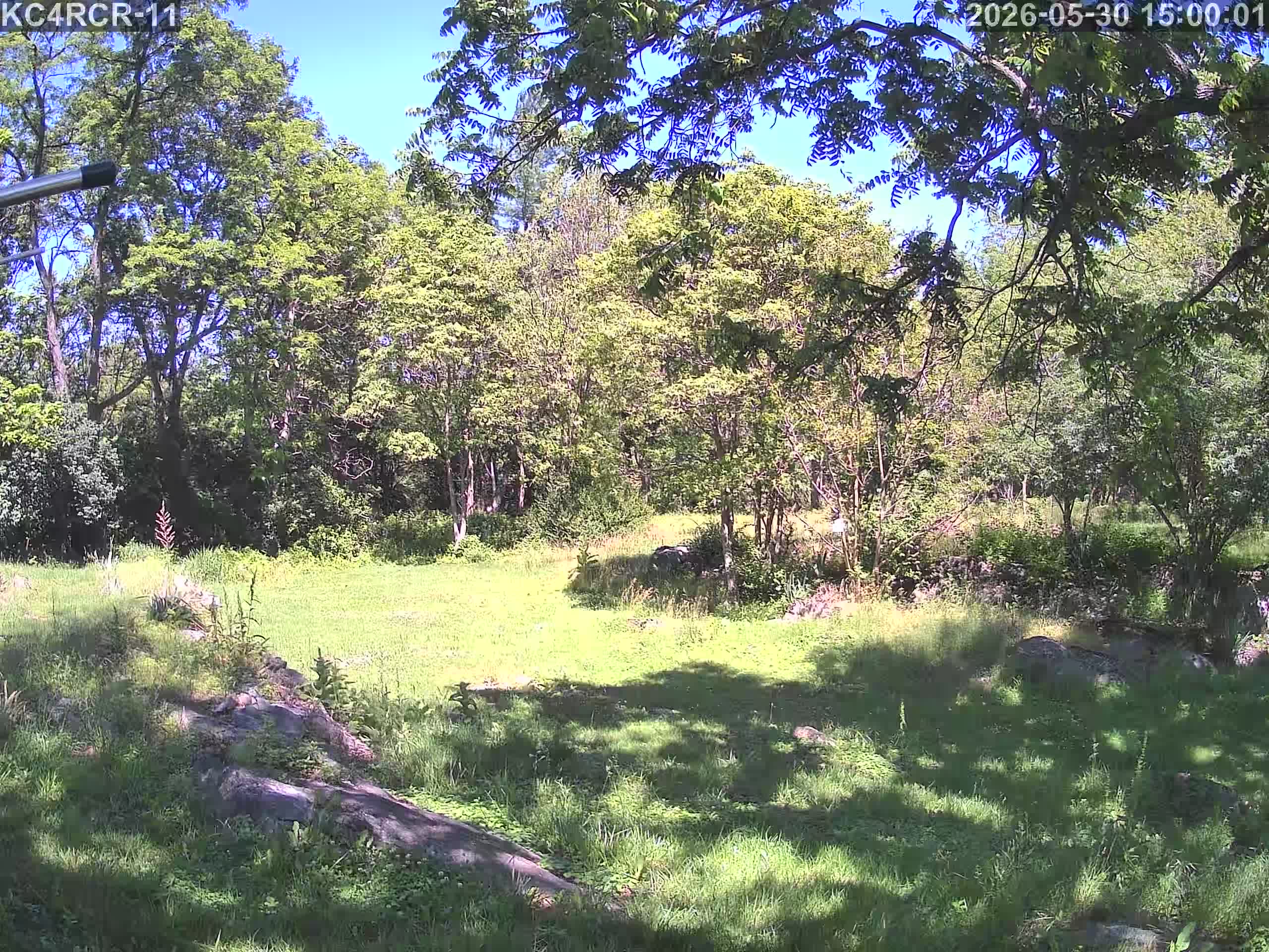 Outside camera view