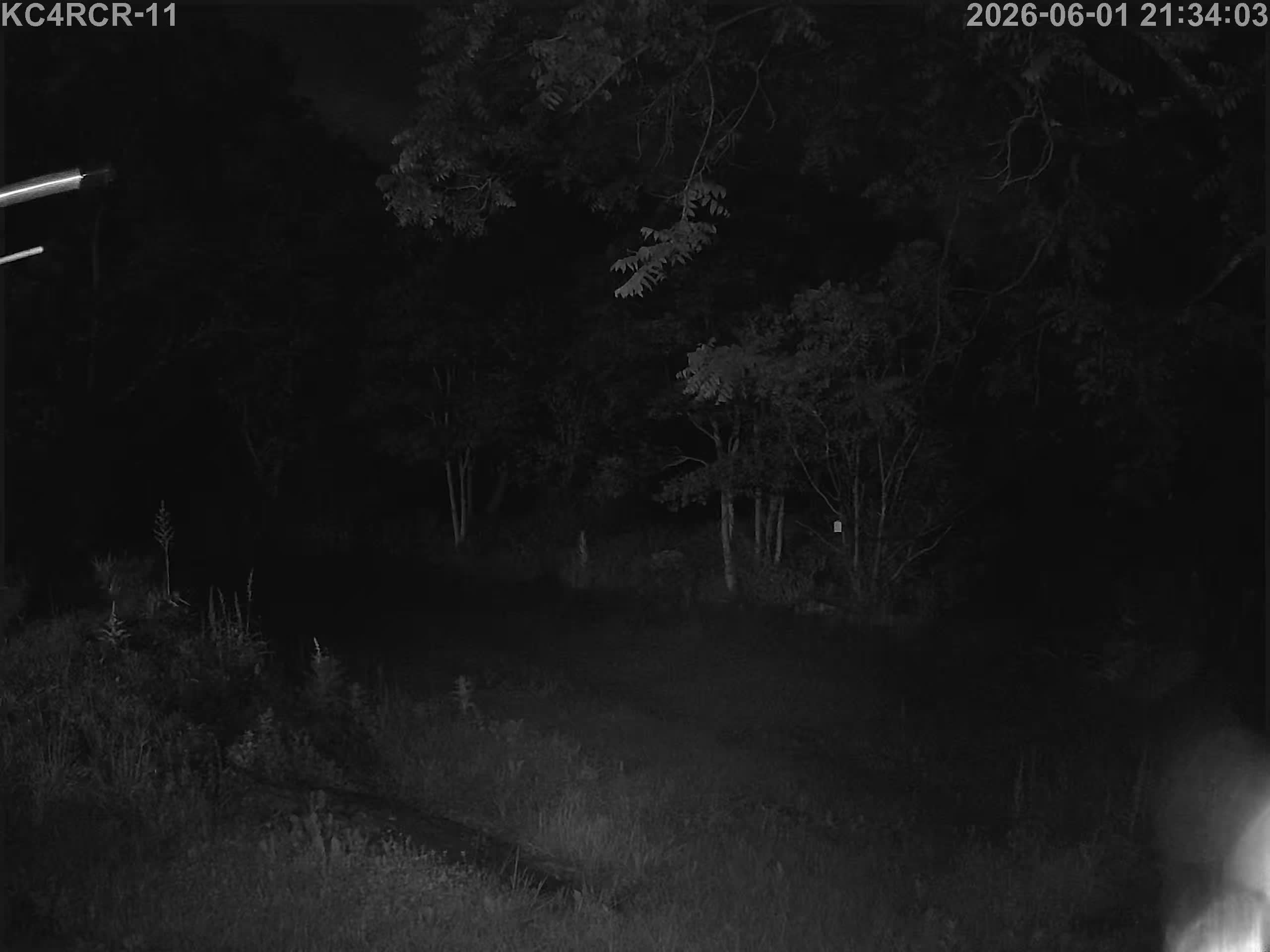 Outside camera view
