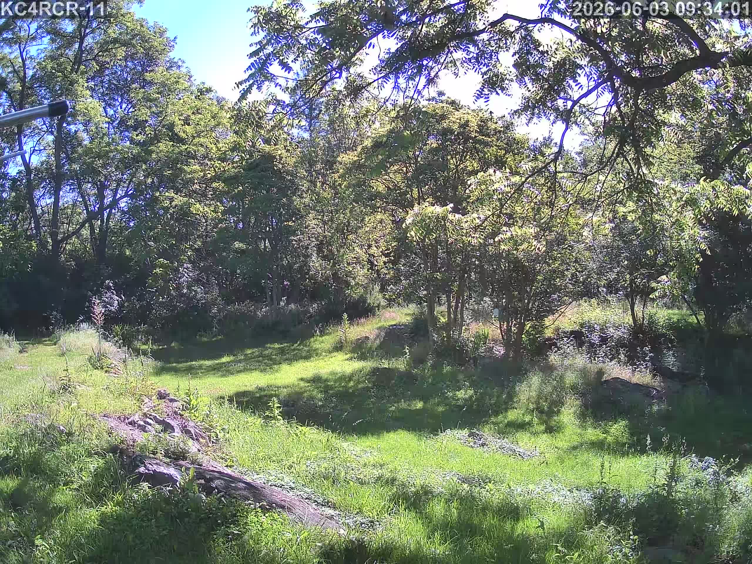 Outside camera view