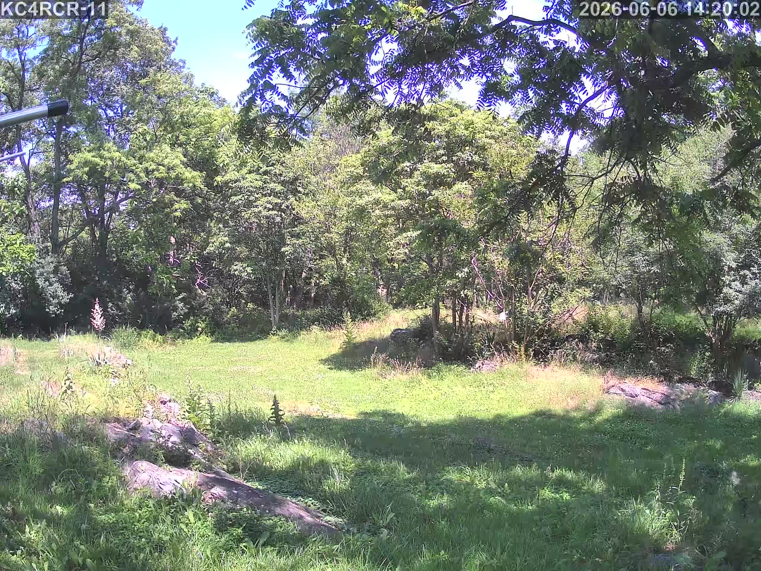 Outside camera view