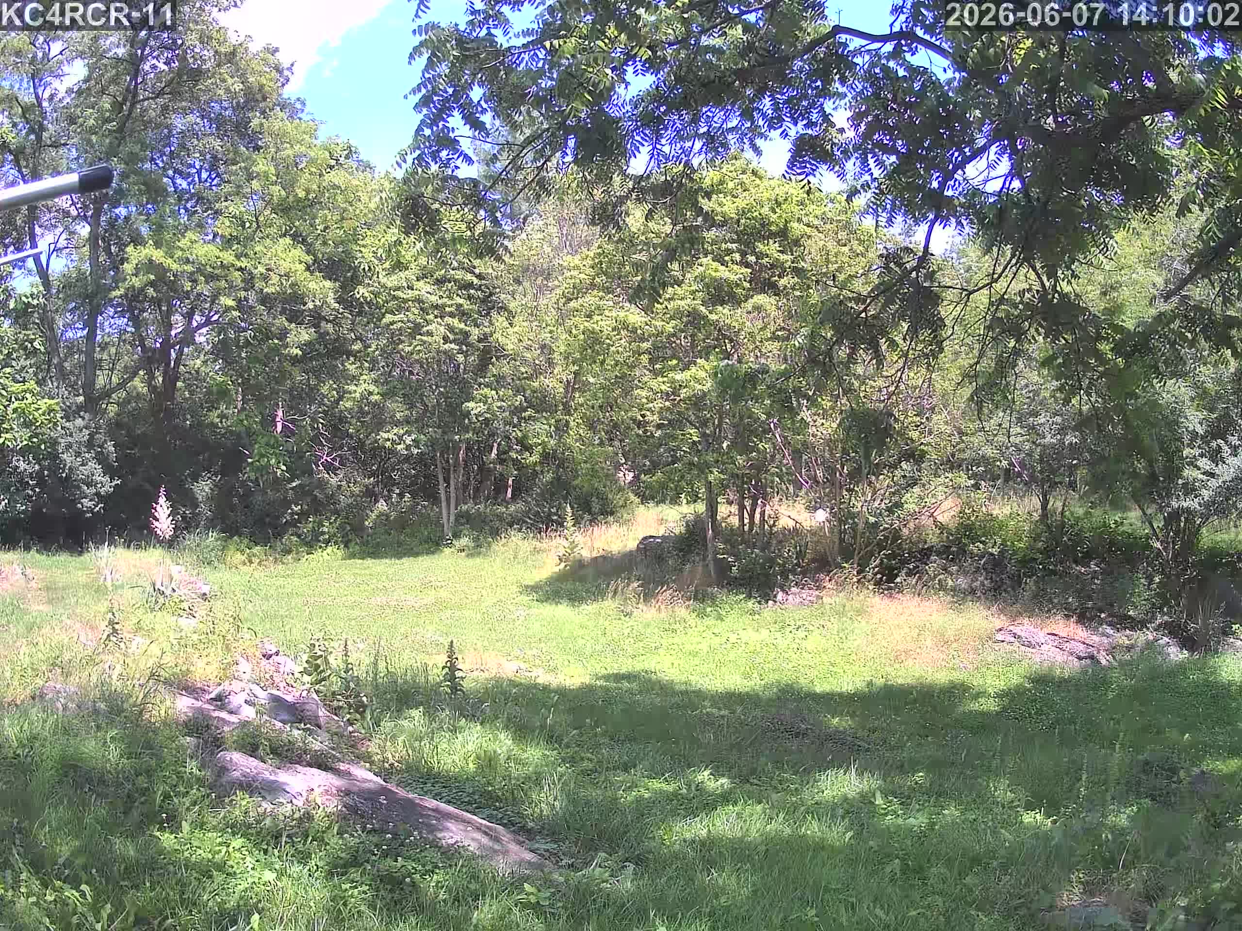 Outside camera view