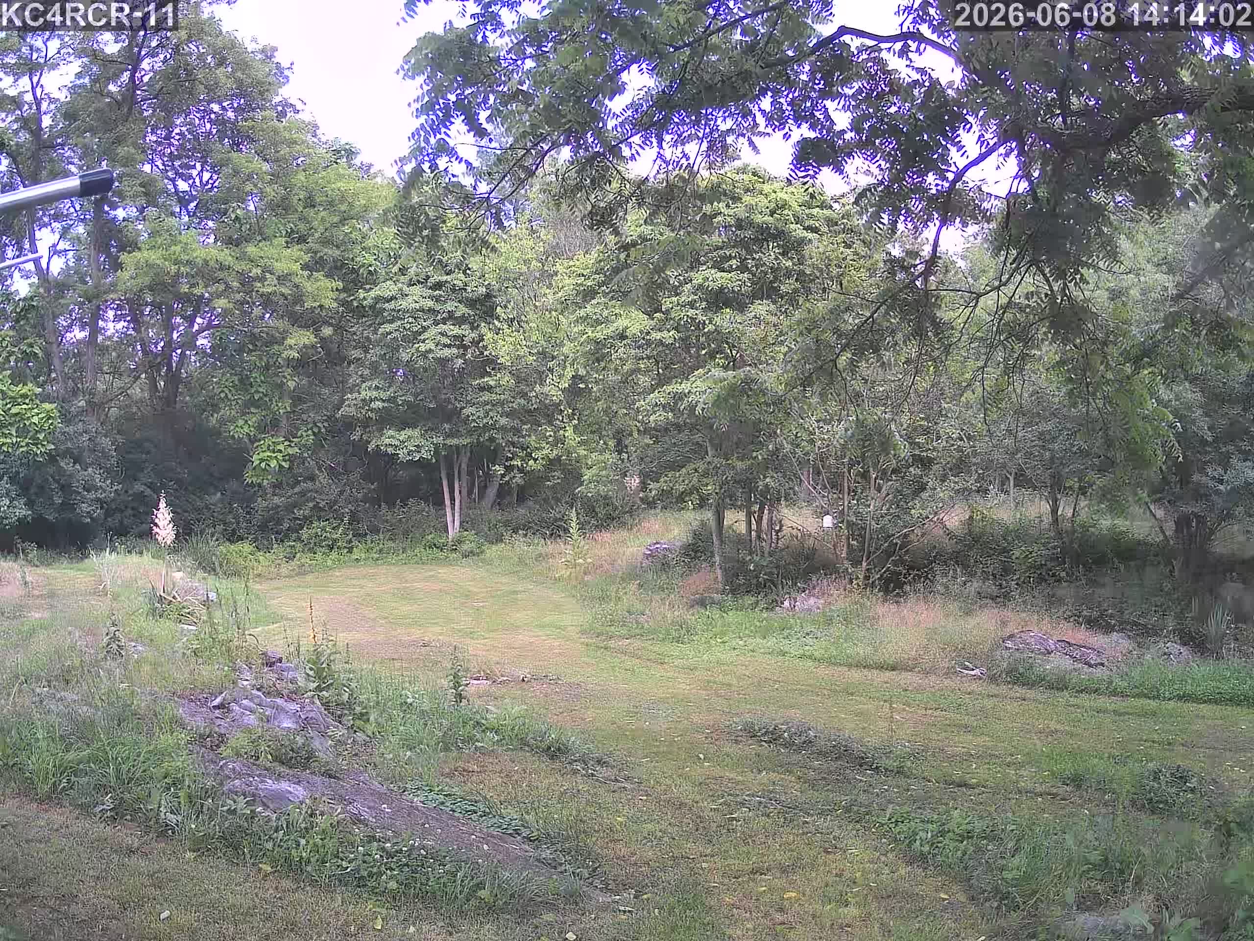 Outside camera view