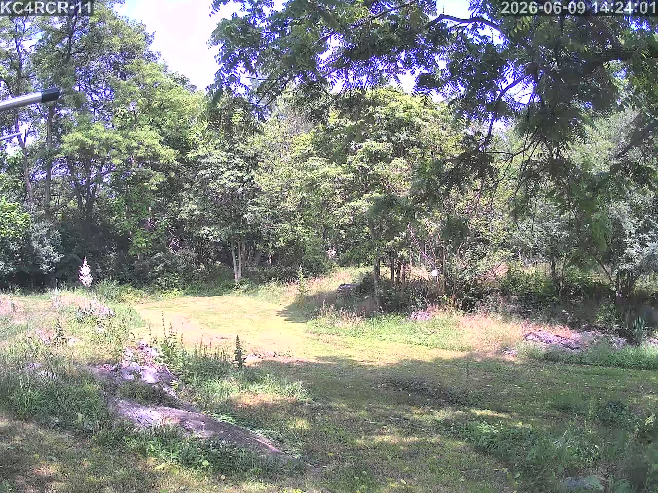 Outside camera view