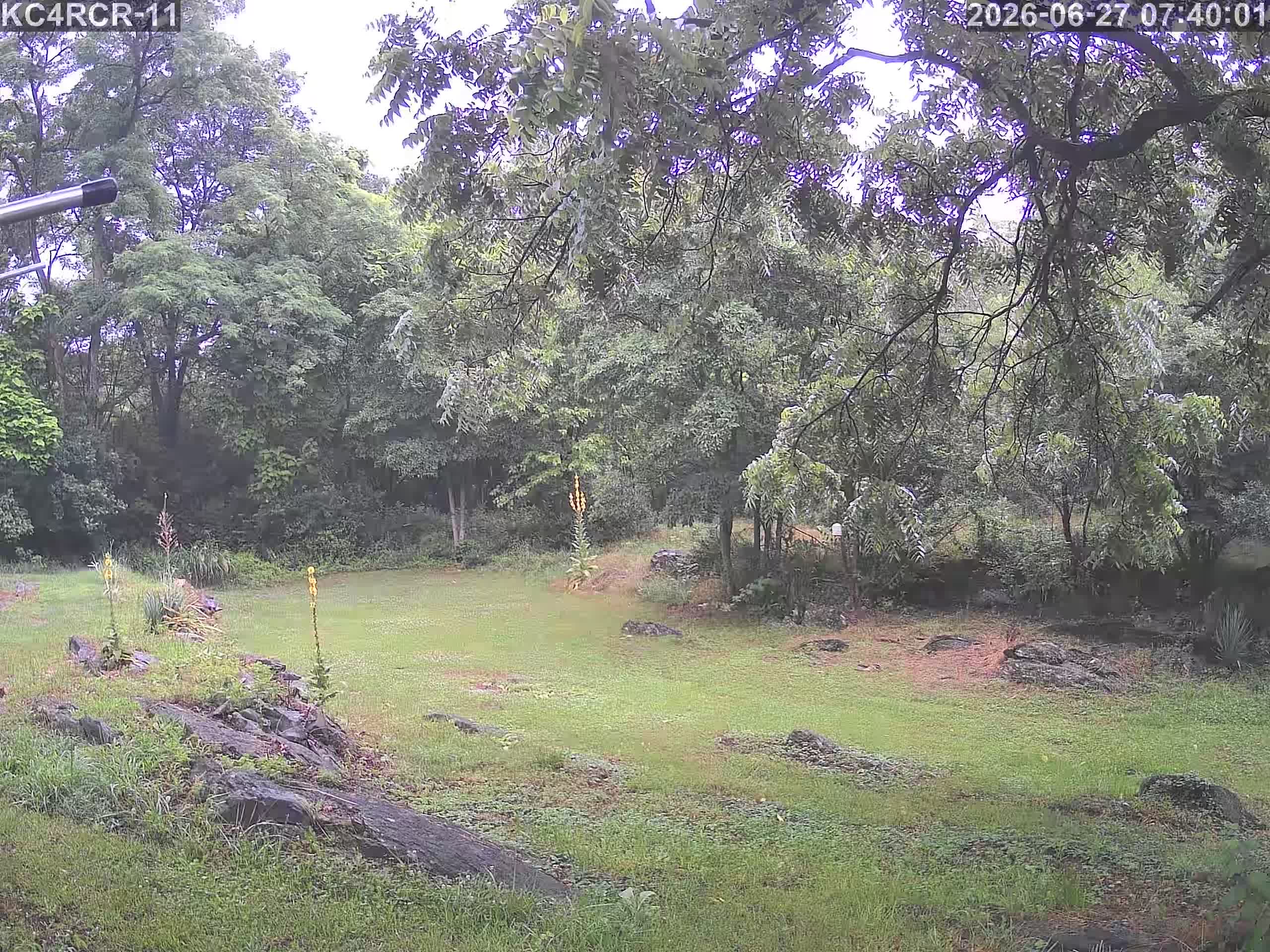 Outside camera view