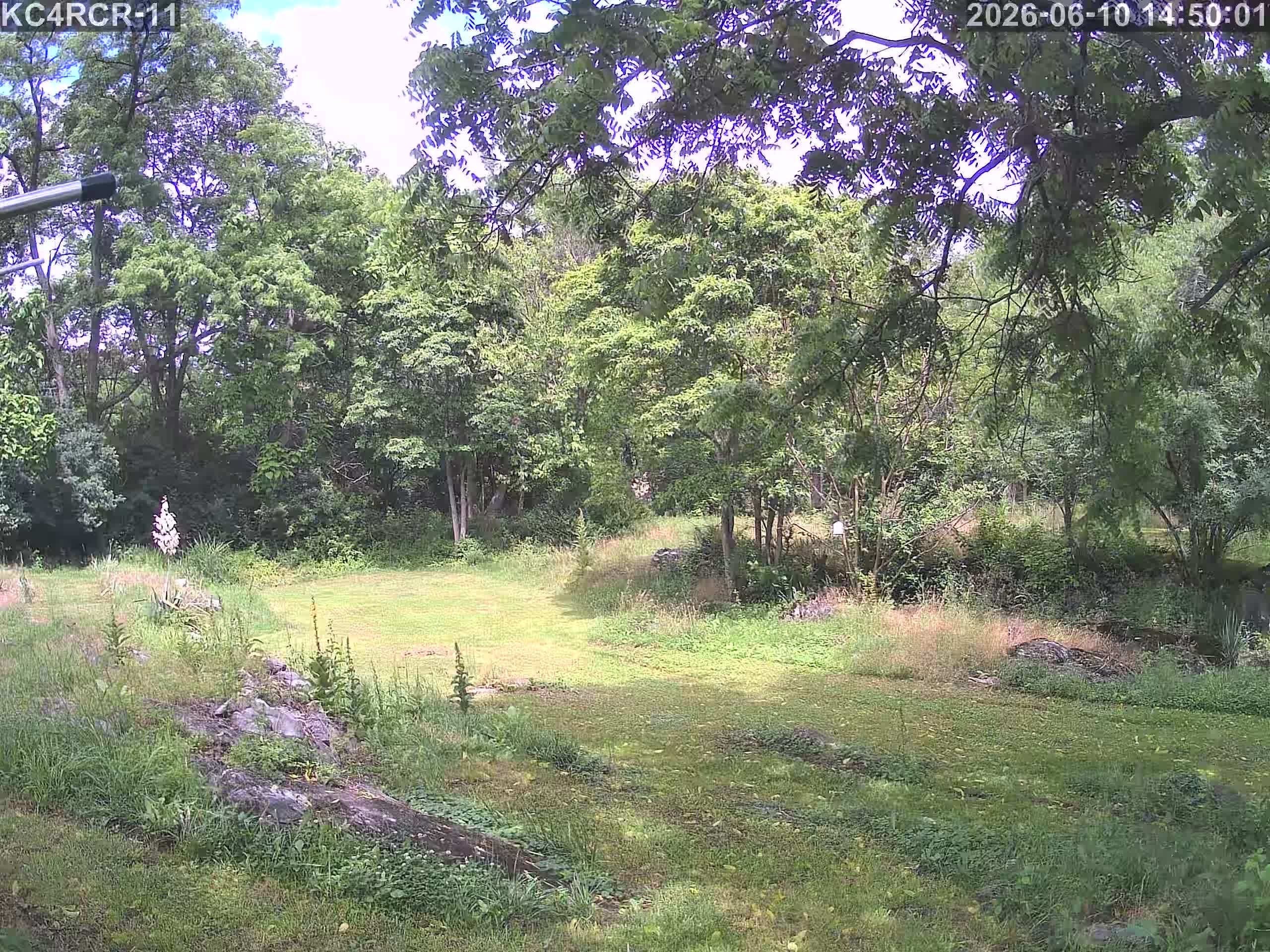 Outside camera view