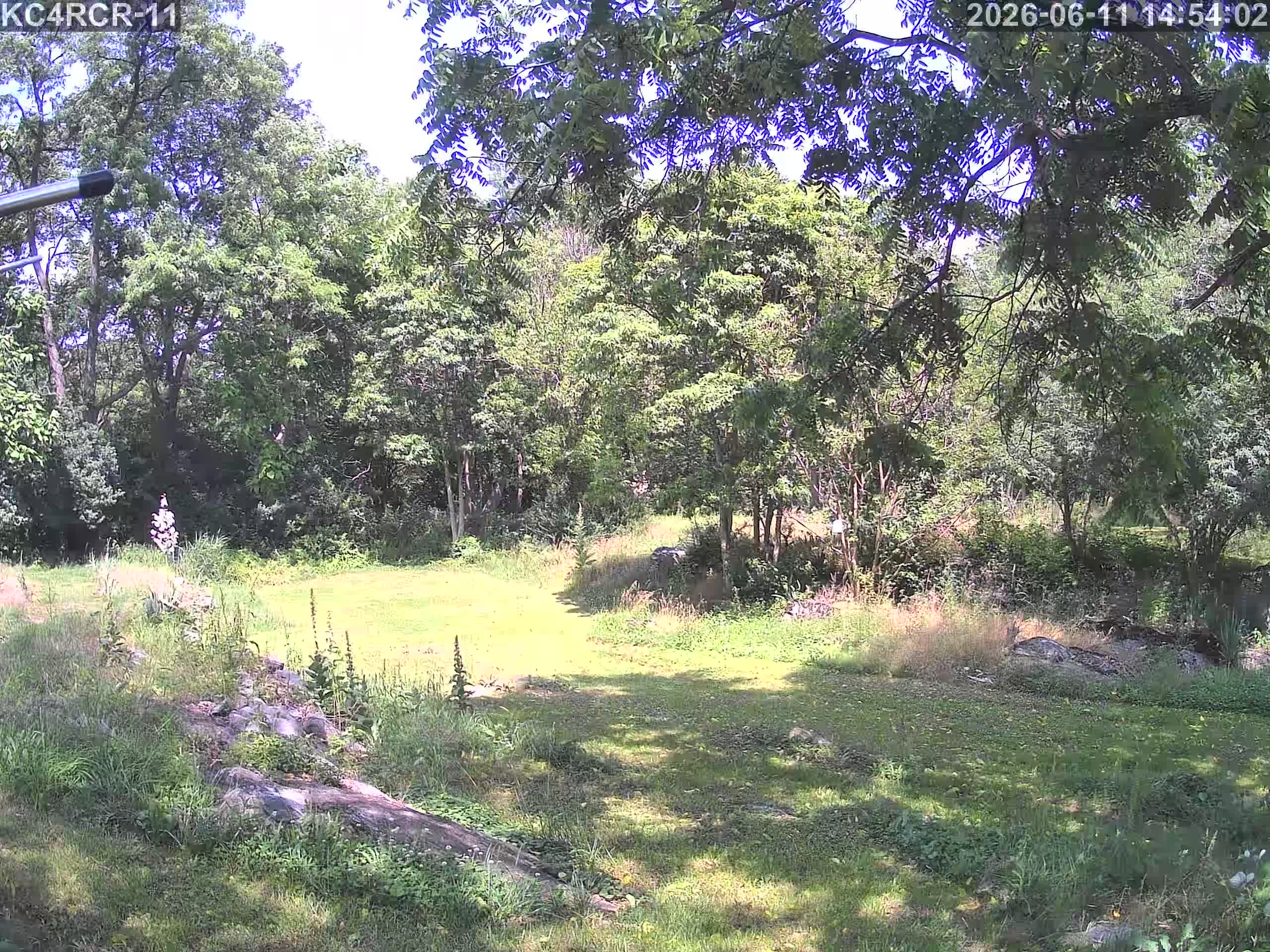 Outside camera view