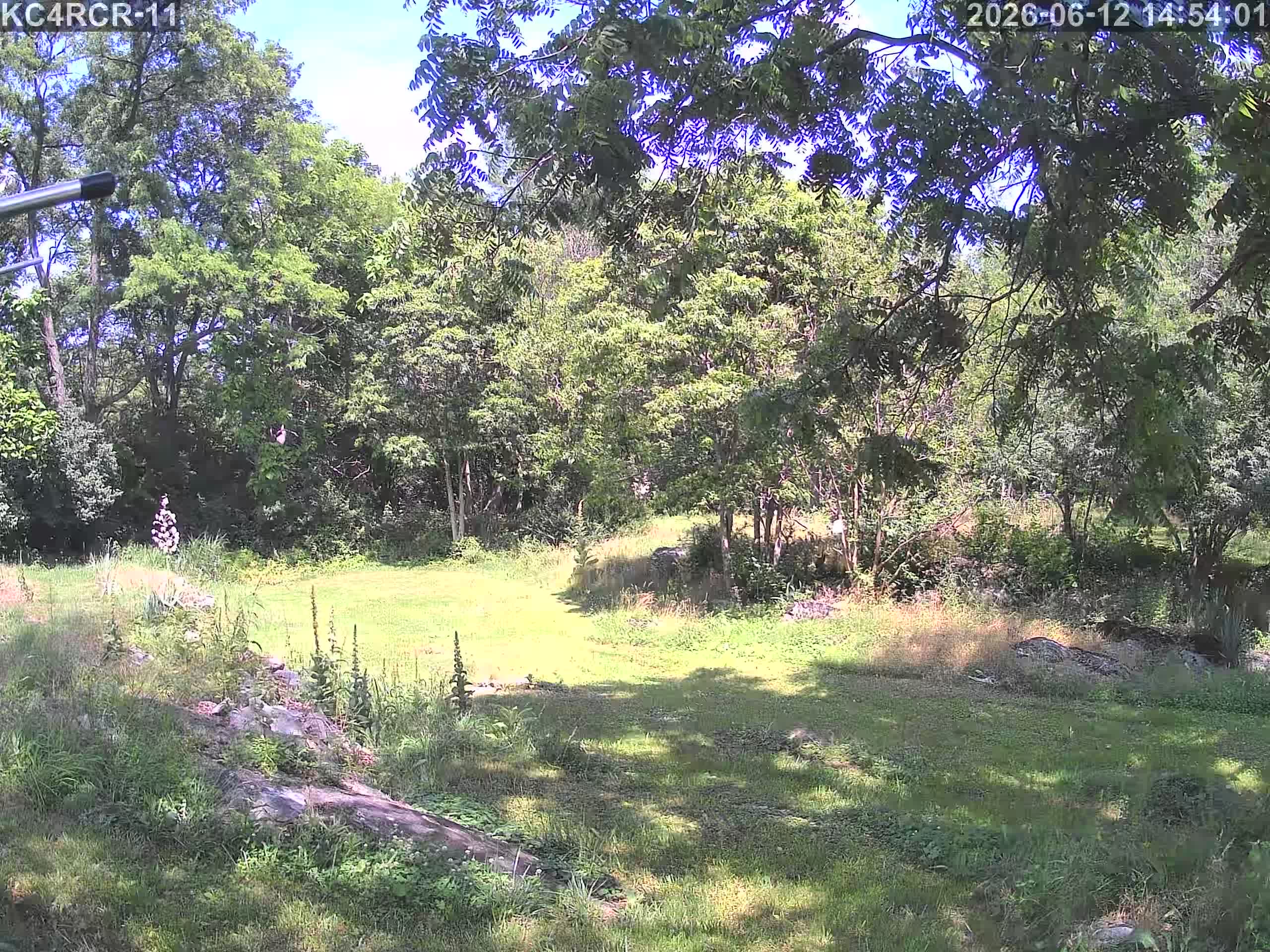 Outside camera view