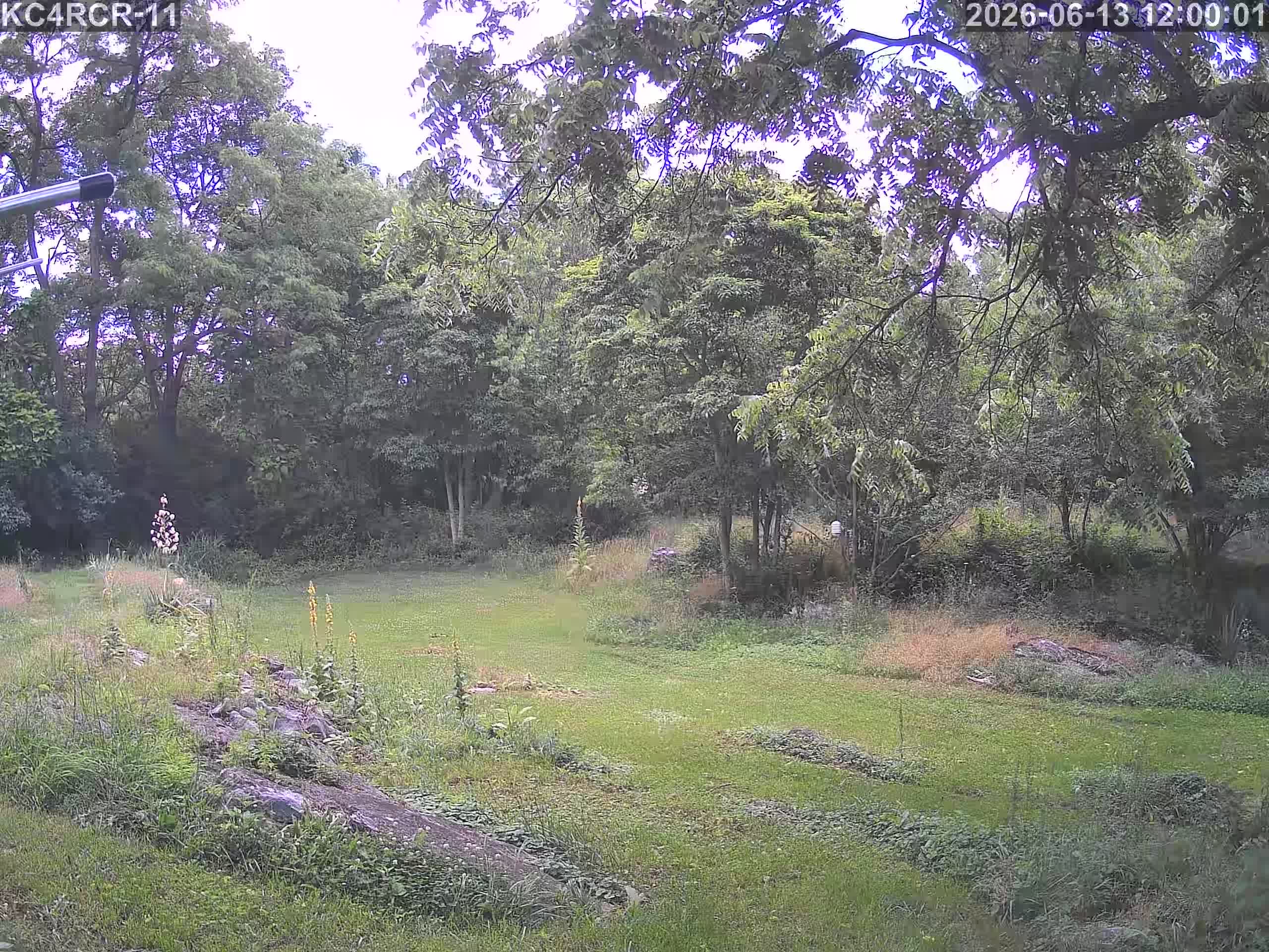 Outside camera view