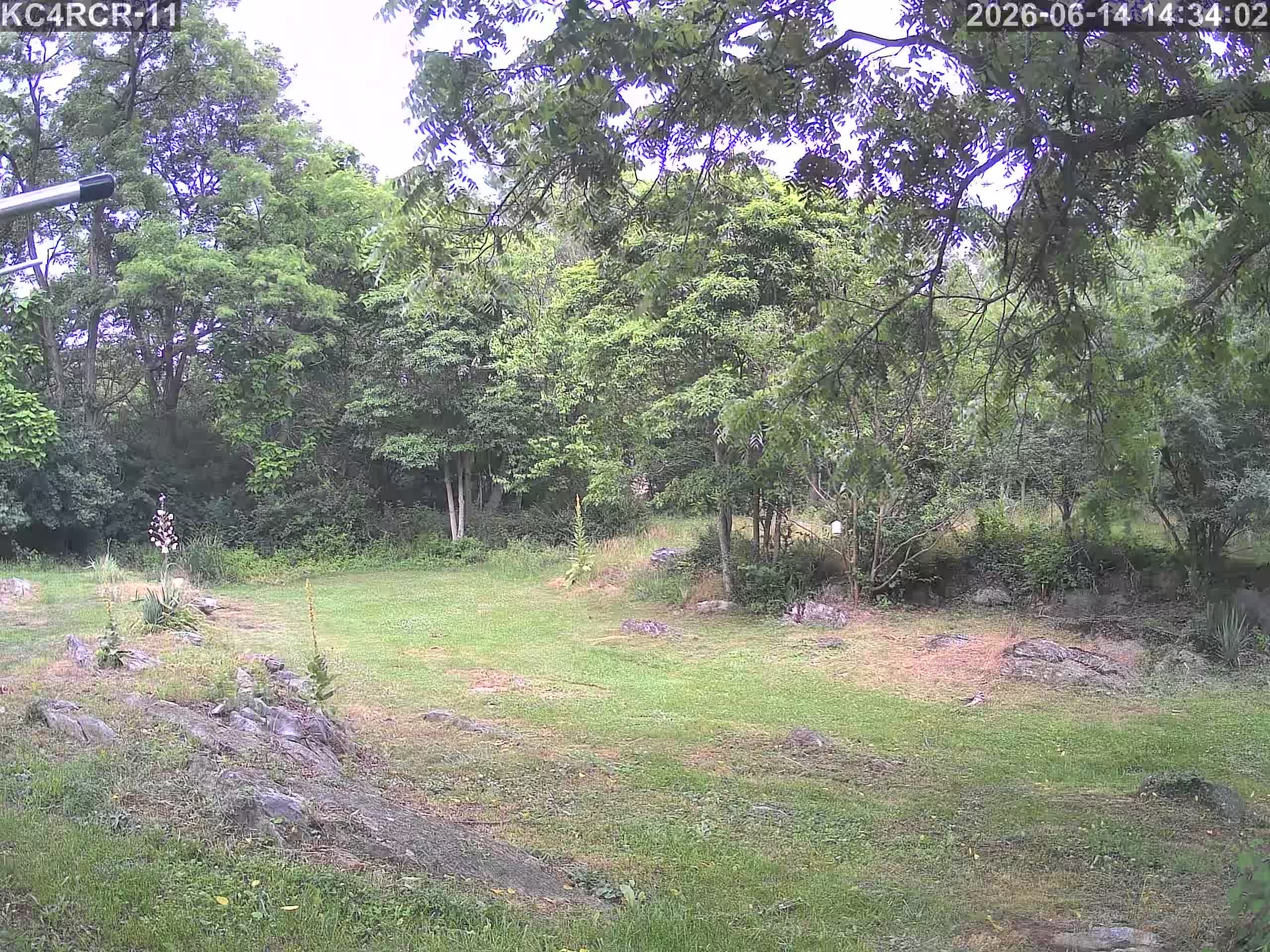 Outside camera view