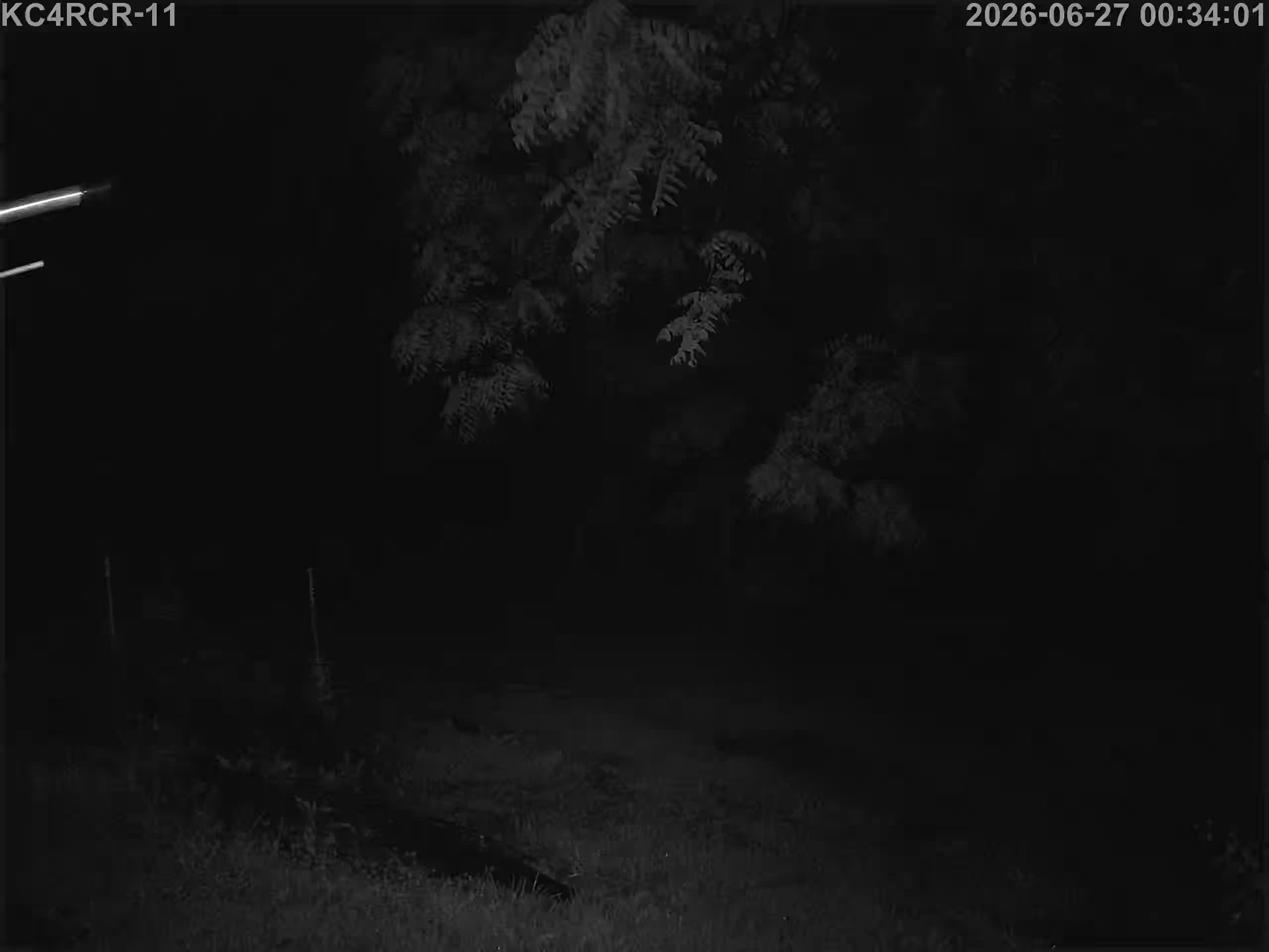 Outside camera view