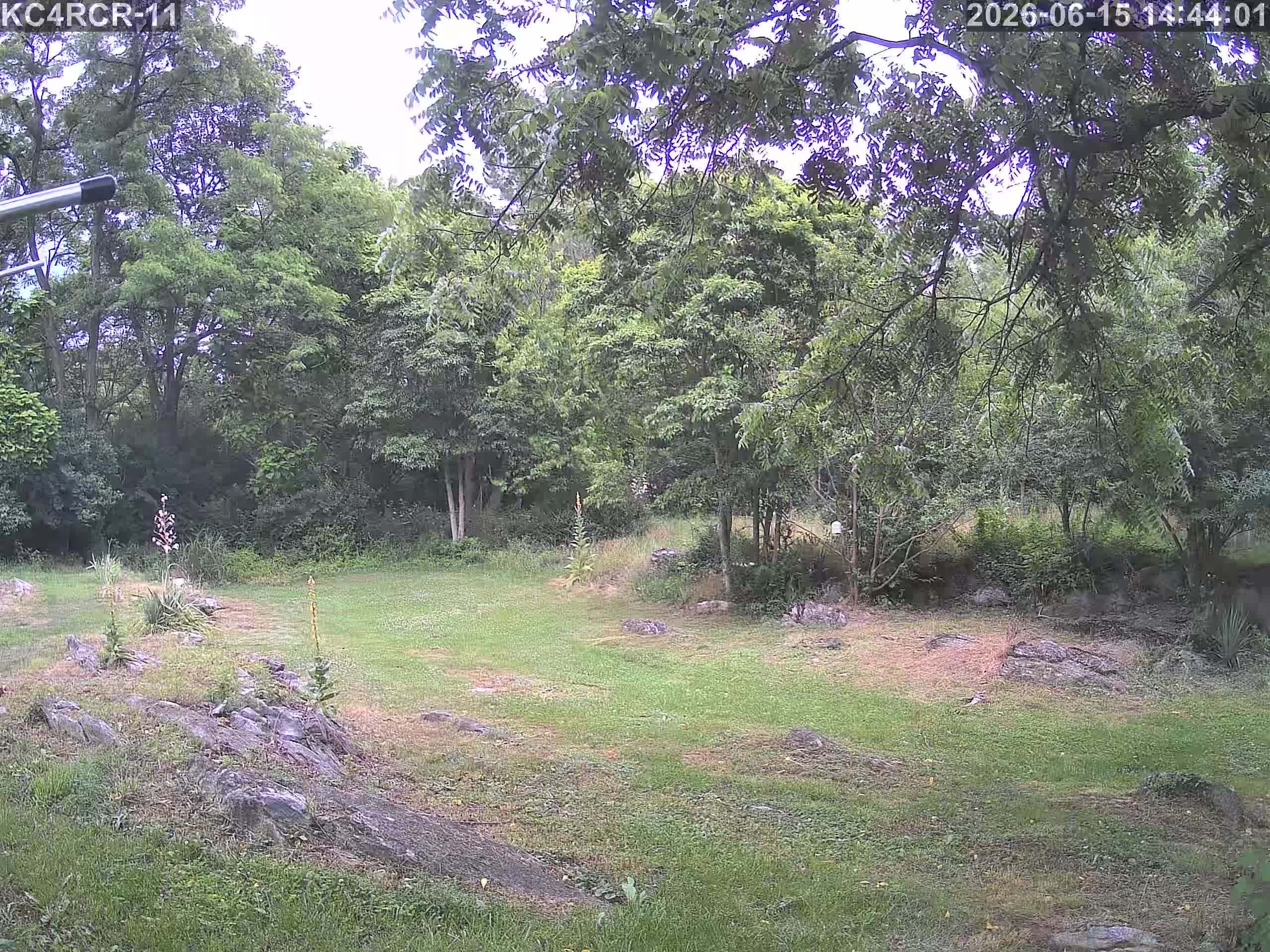 Outside camera view