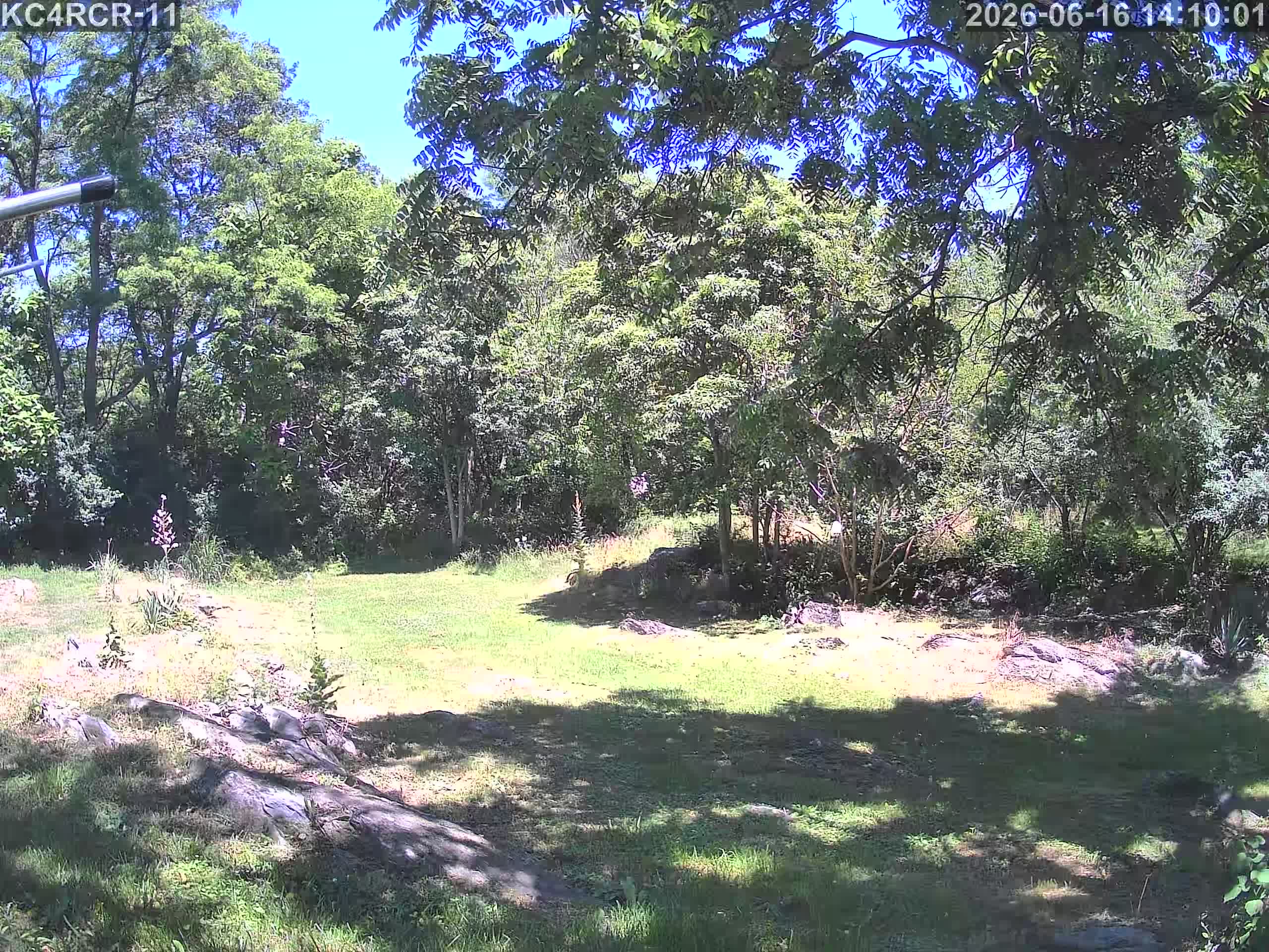 Outside camera view