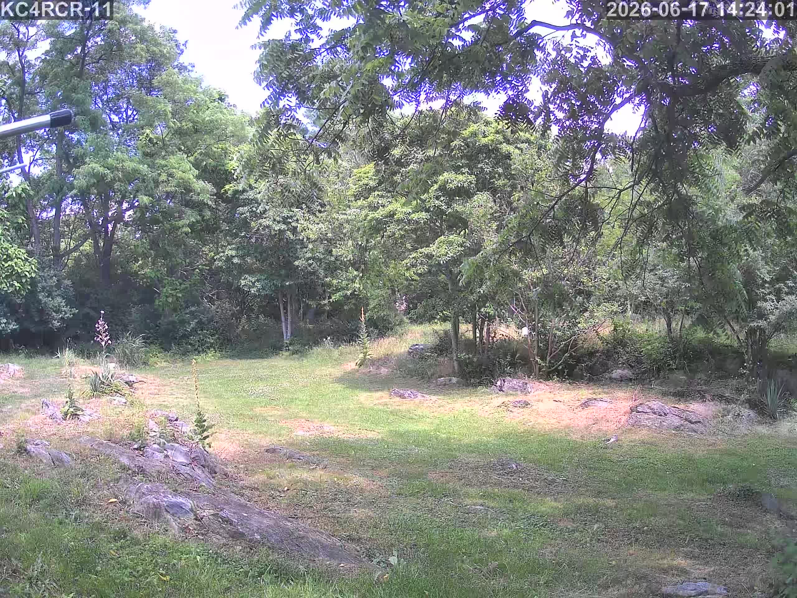 Outside camera view