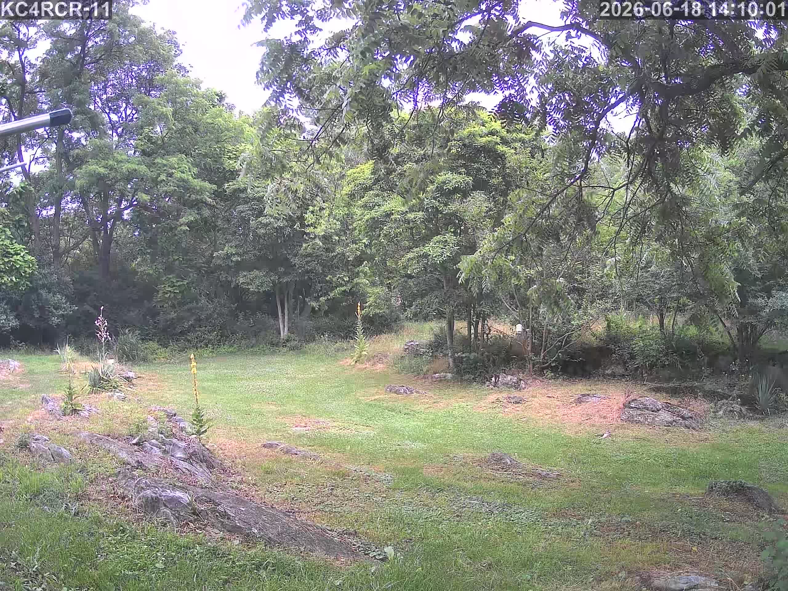 Outside camera view
