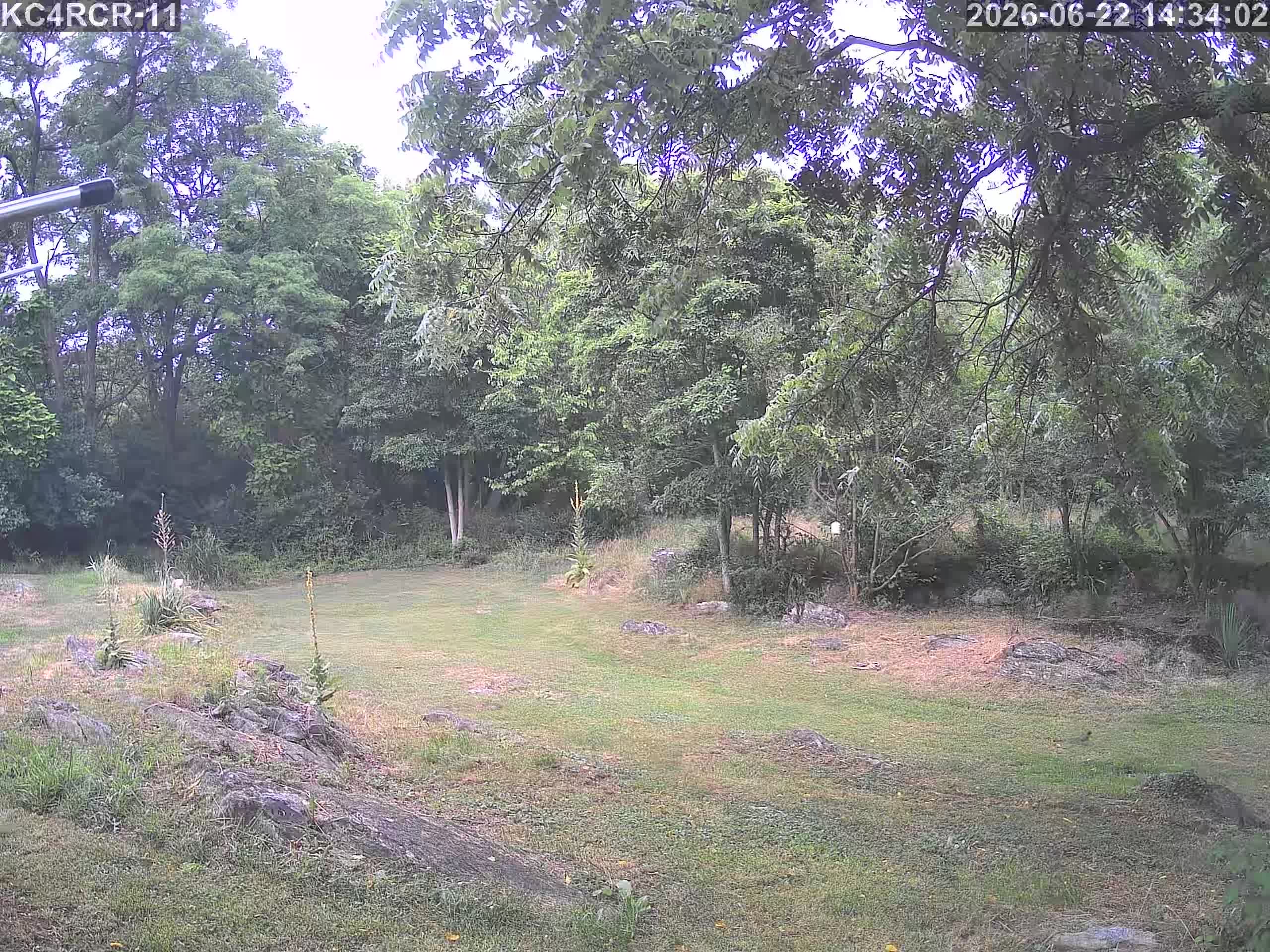 Outside camera view