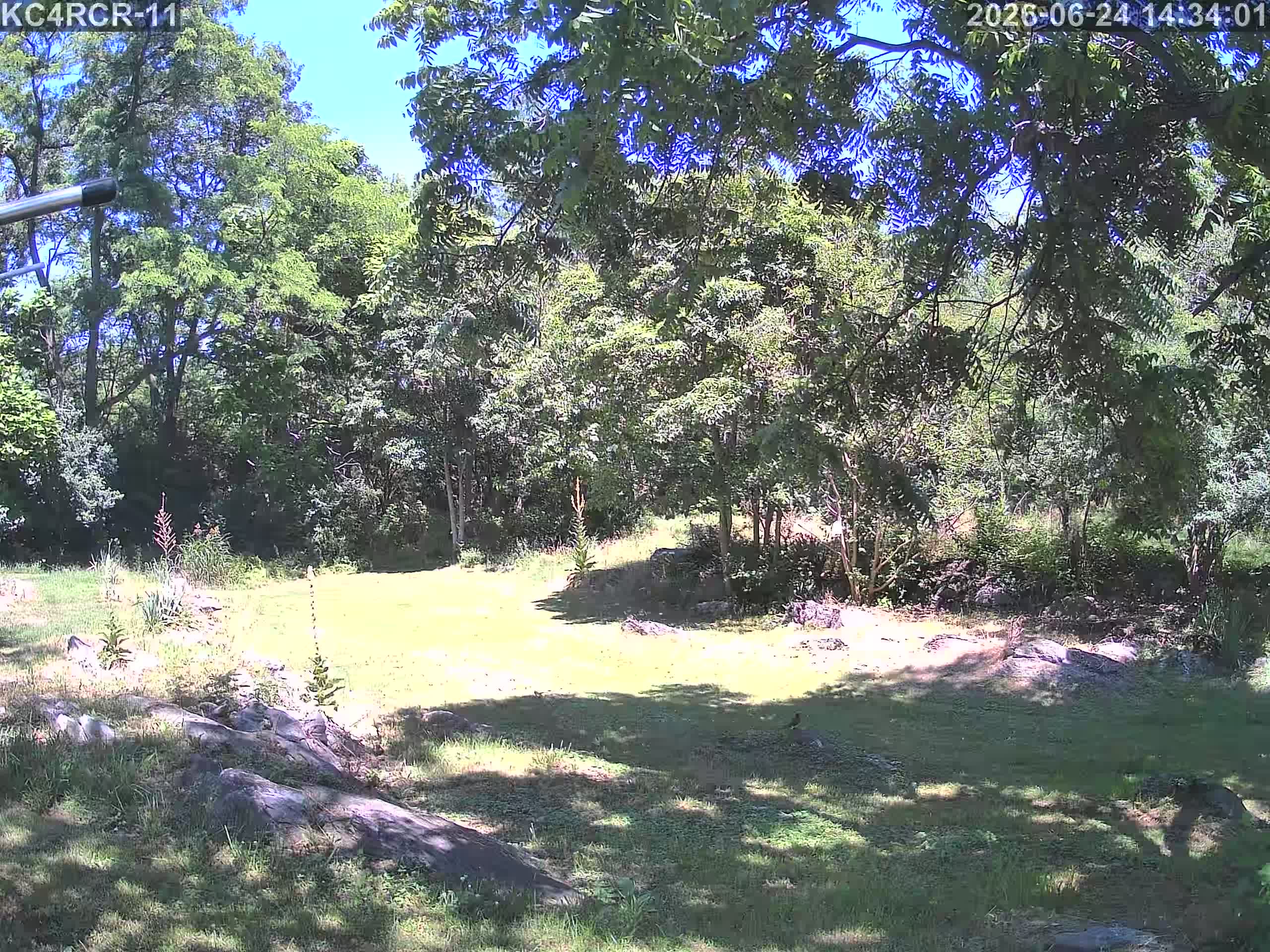 Outside camera view