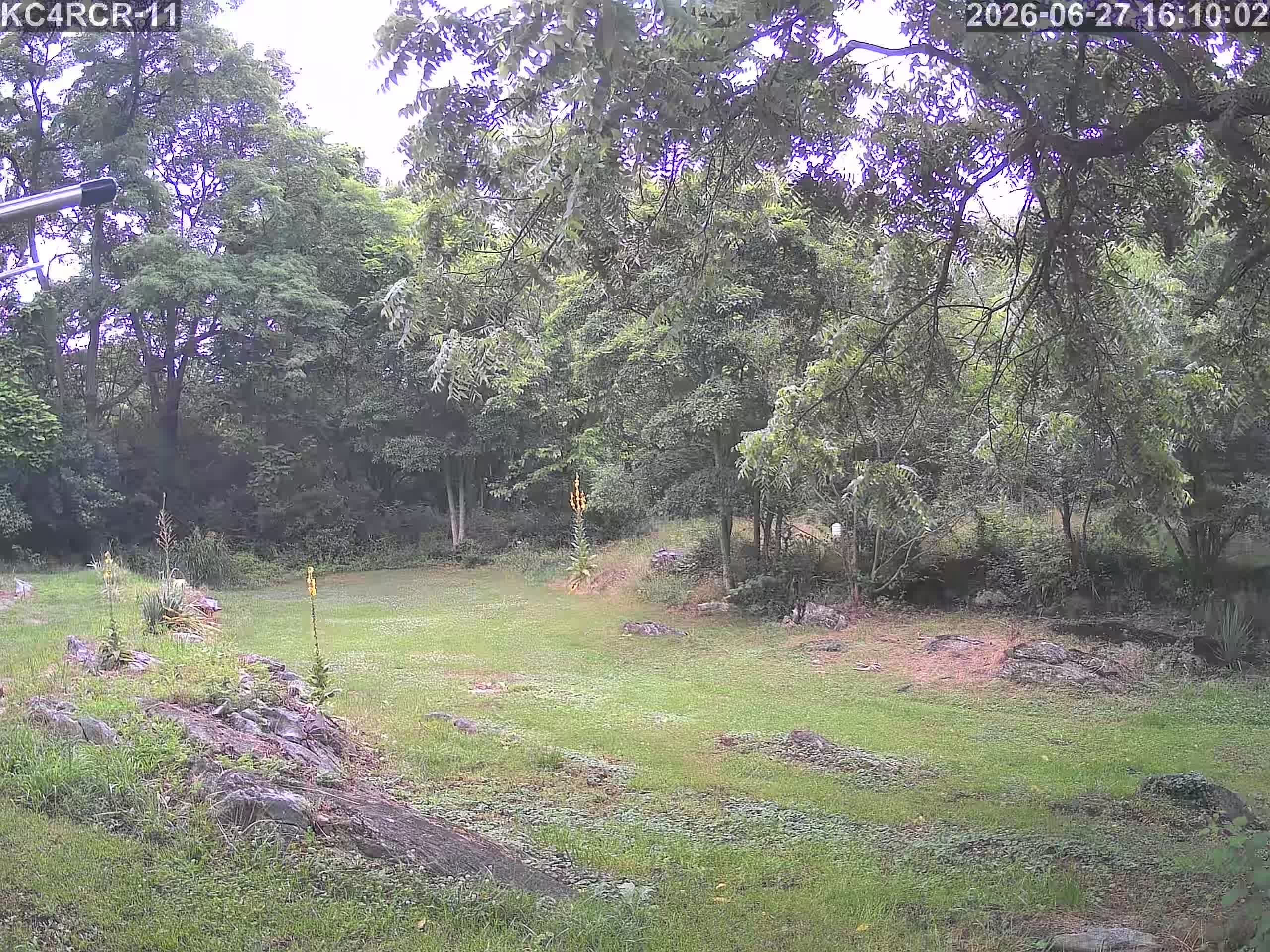 Outside camera view