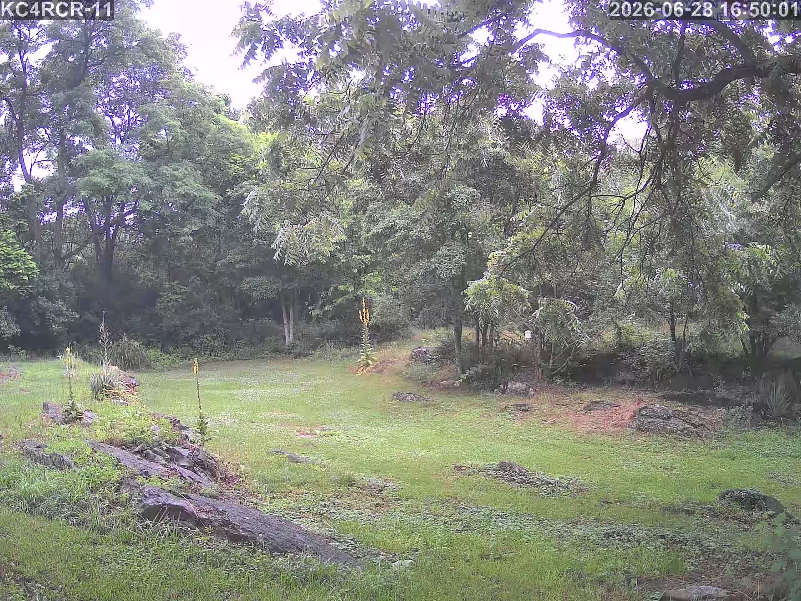 Outside camera view