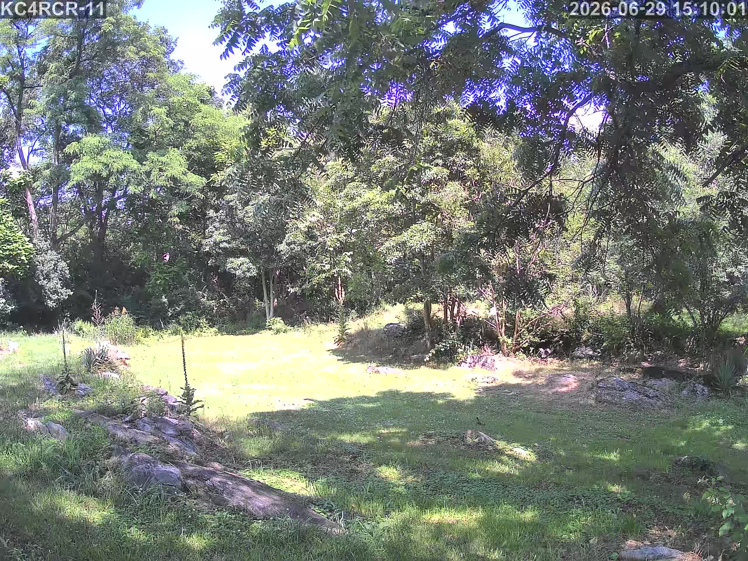 Outside camera view