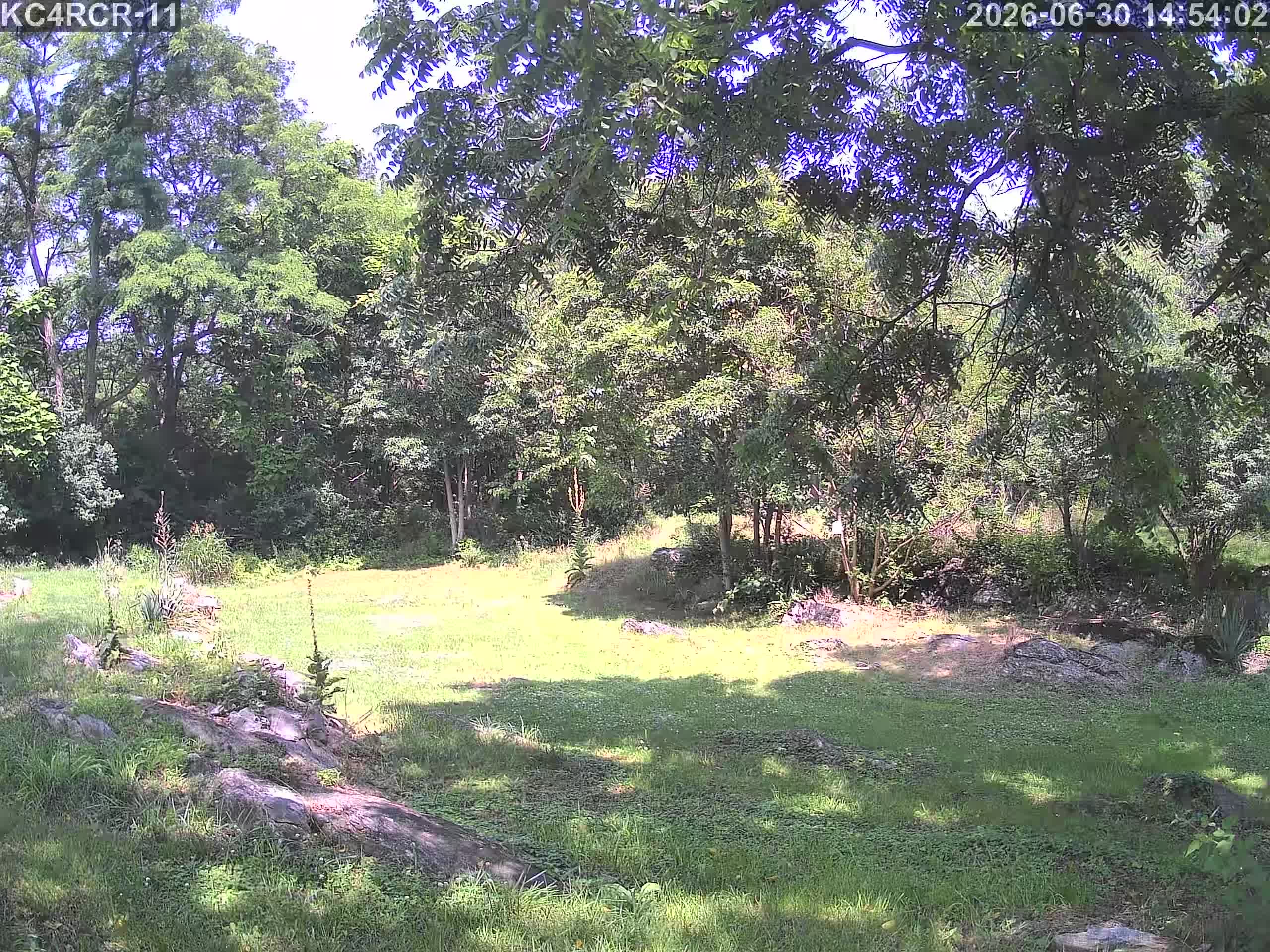 Outside camera view