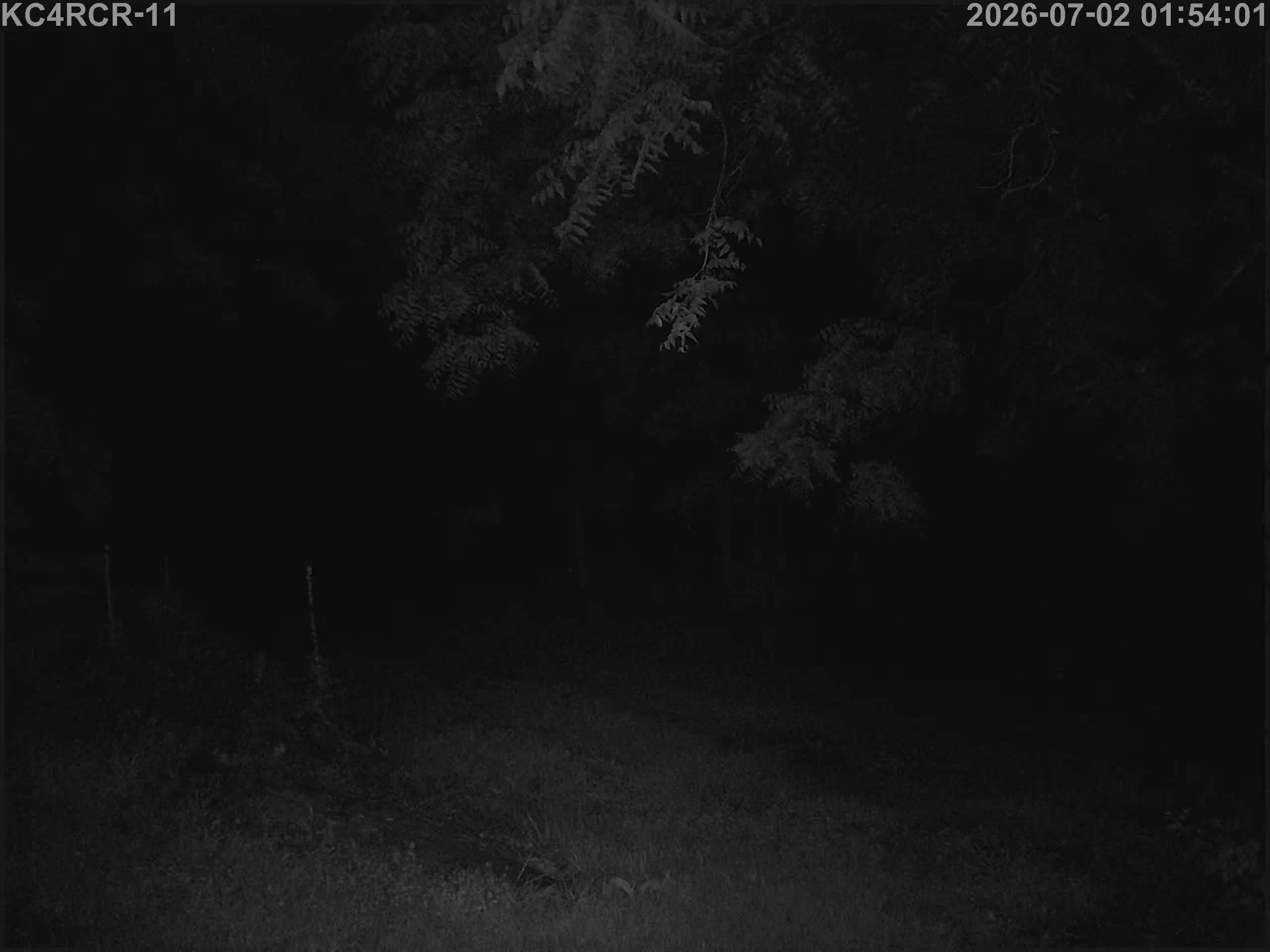 Outside camera view
