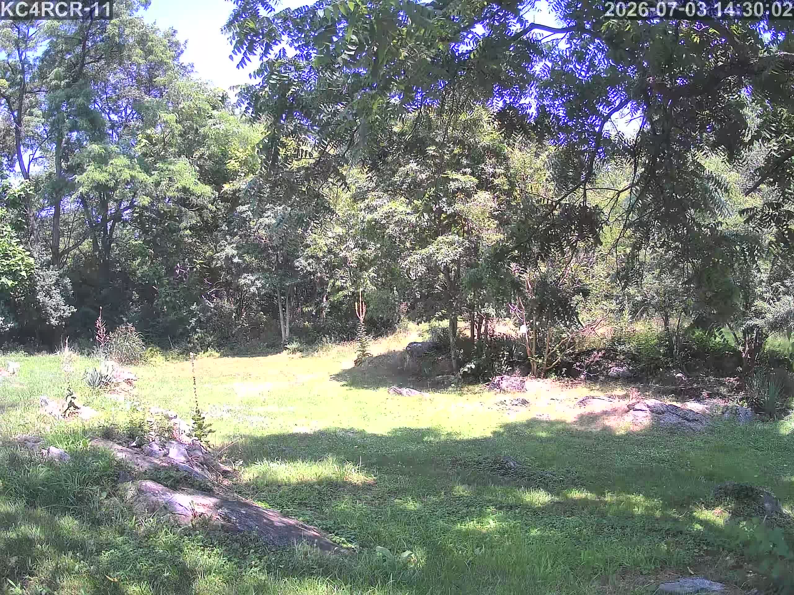 Outside camera view