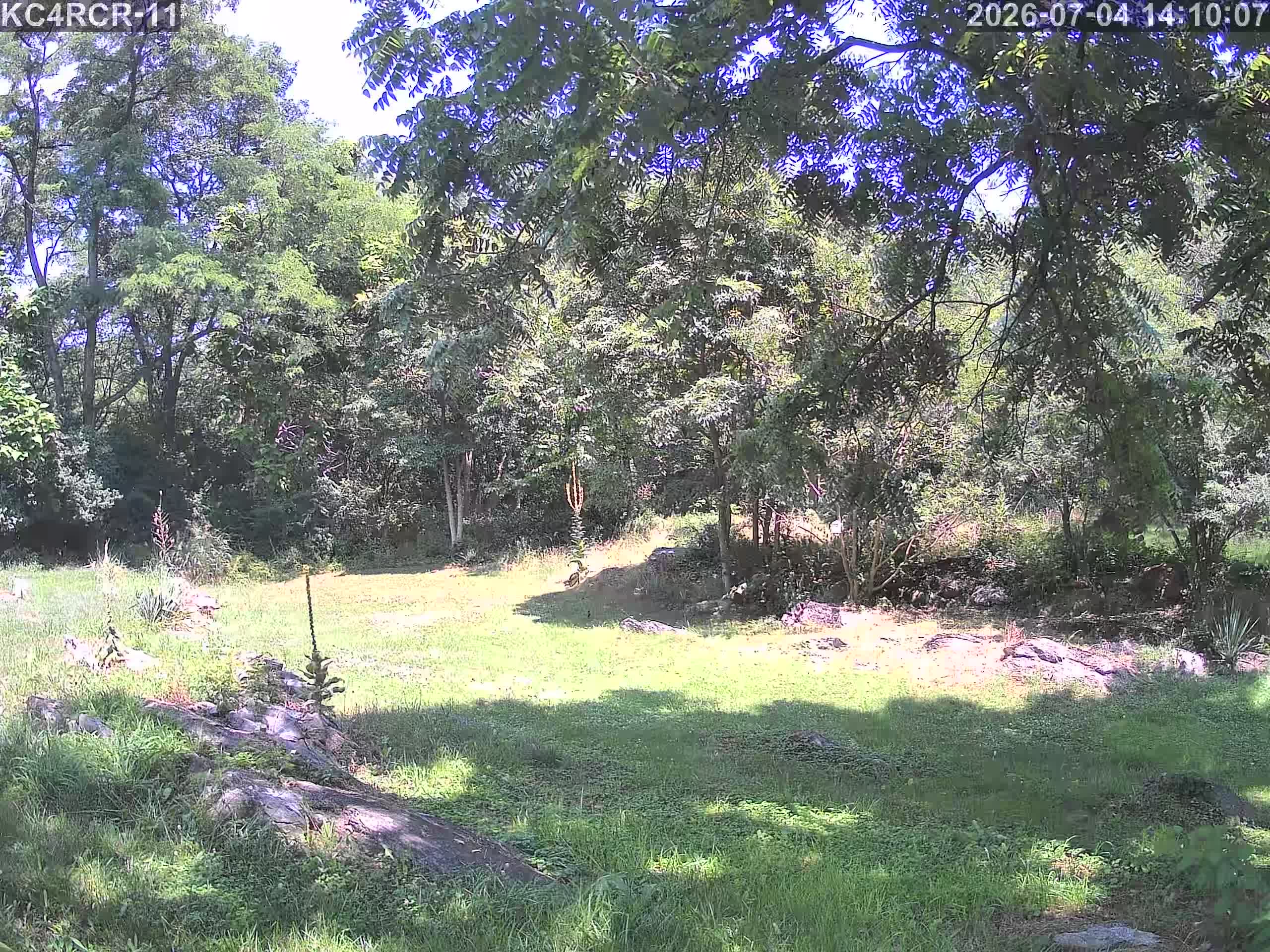 Outside camera view