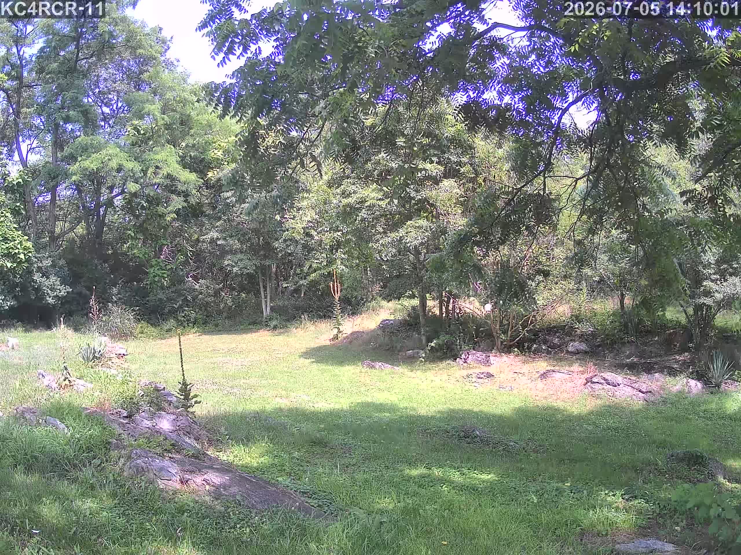 Outside camera view
