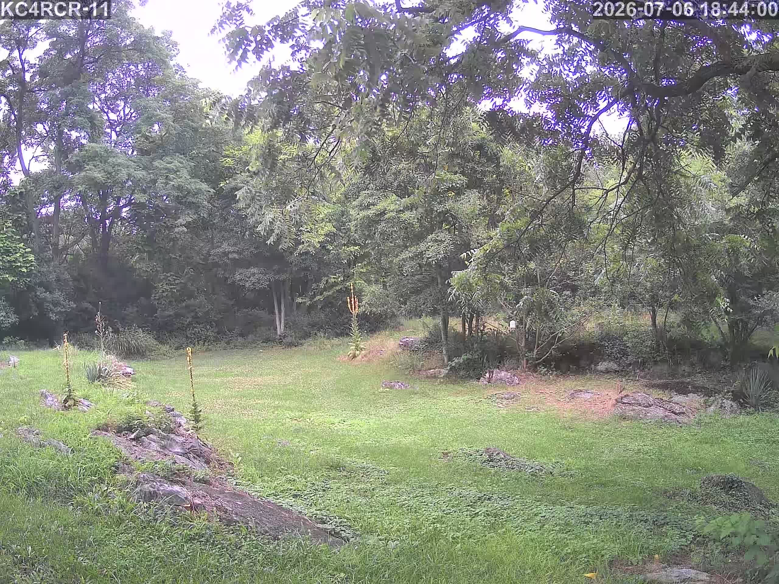 Outside camera view