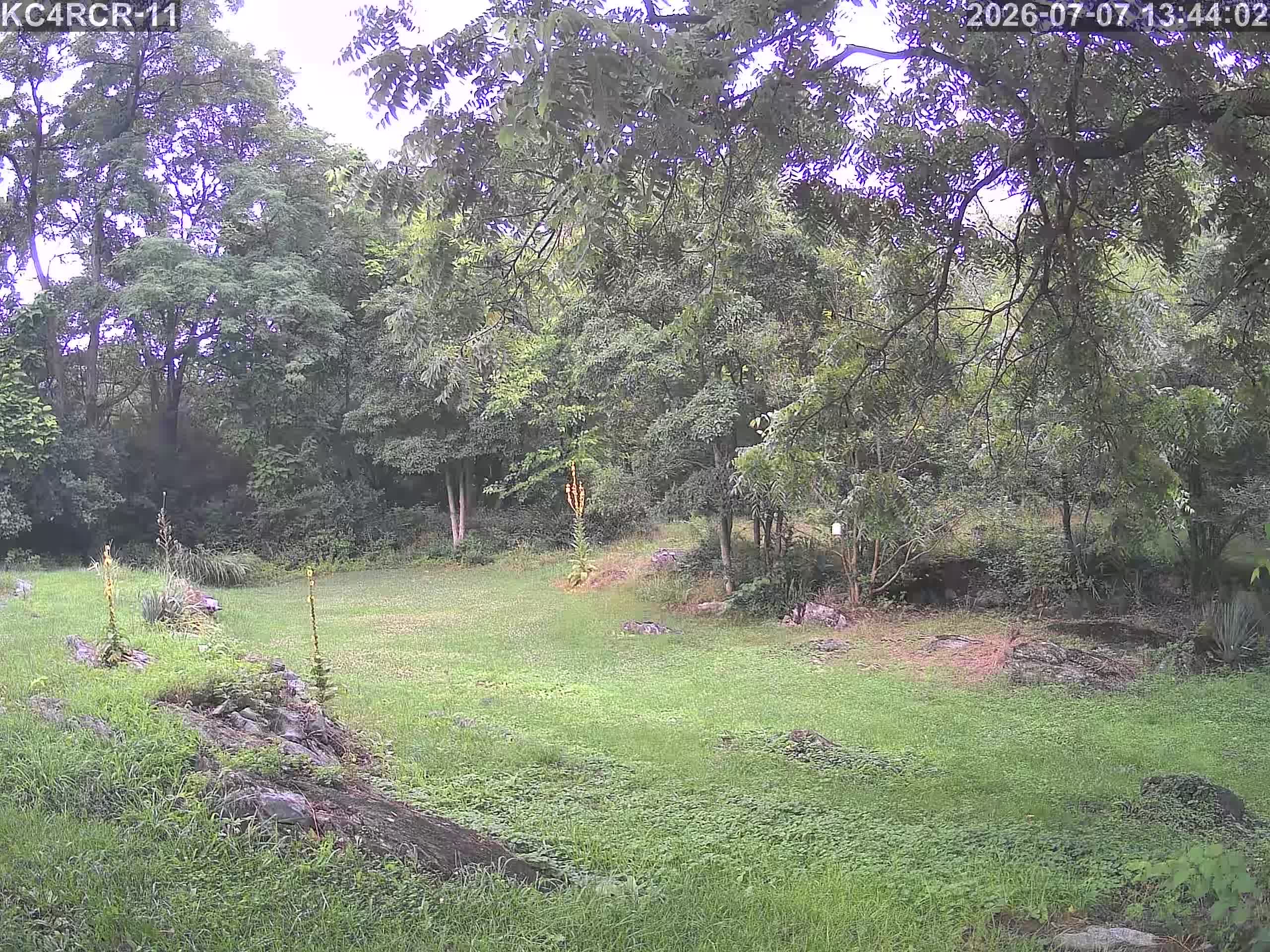 Outside camera view