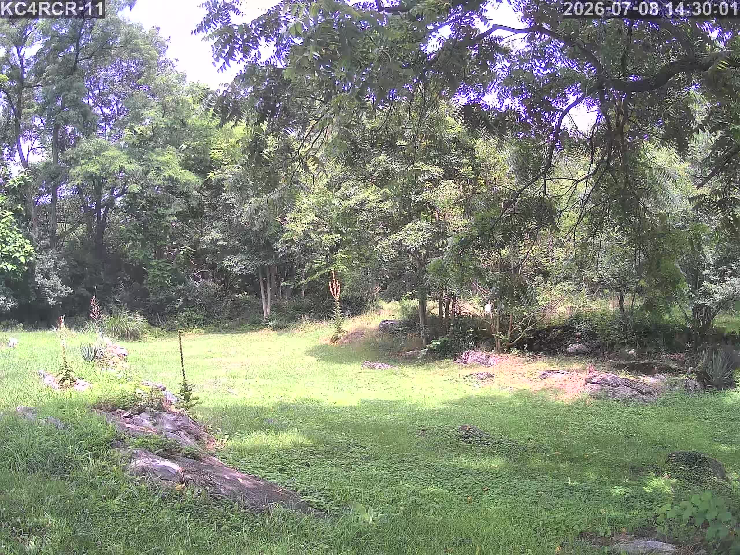 Outside camera view